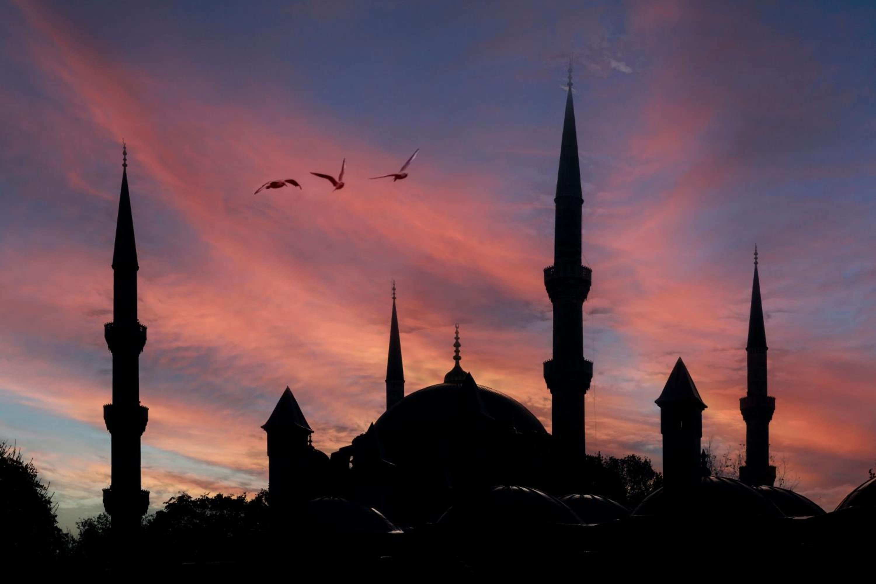 Pera Tulip Otel - Image 122