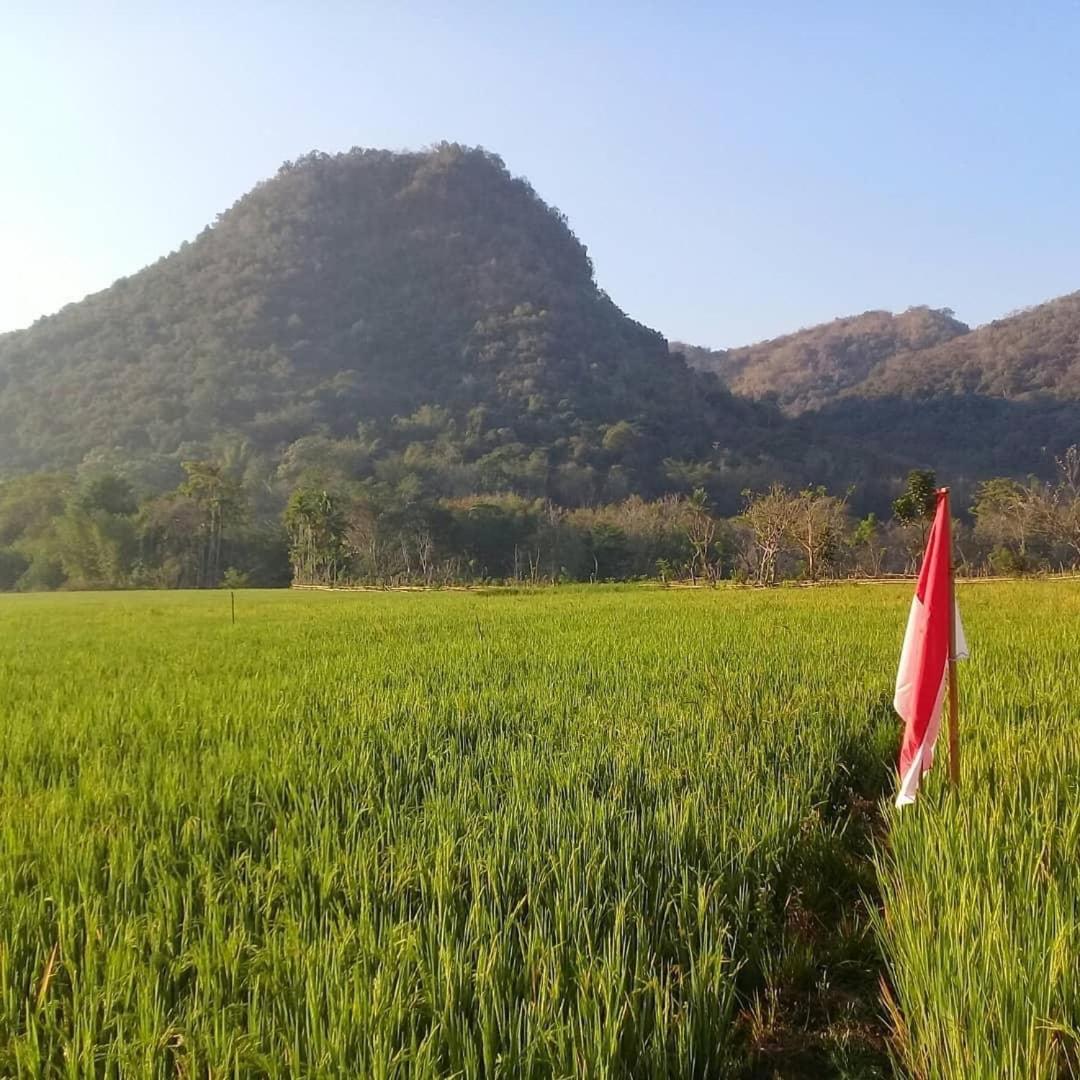 Tado Homestay view 5