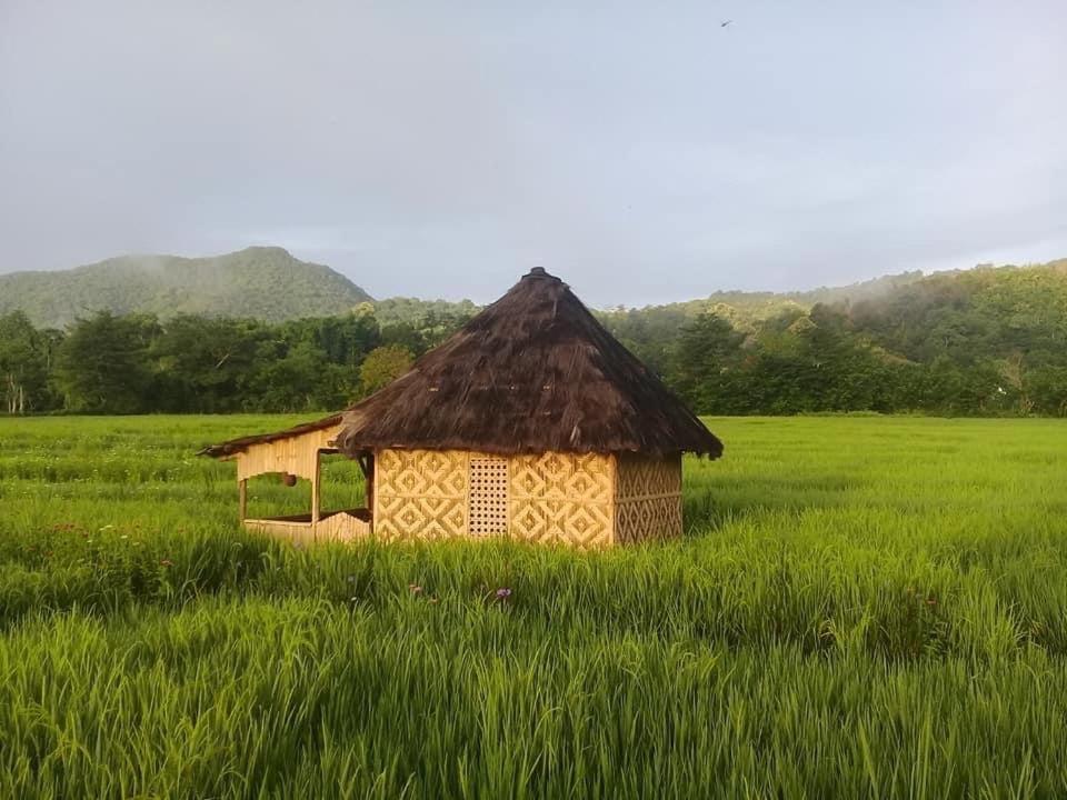 Tado Homestay view 4