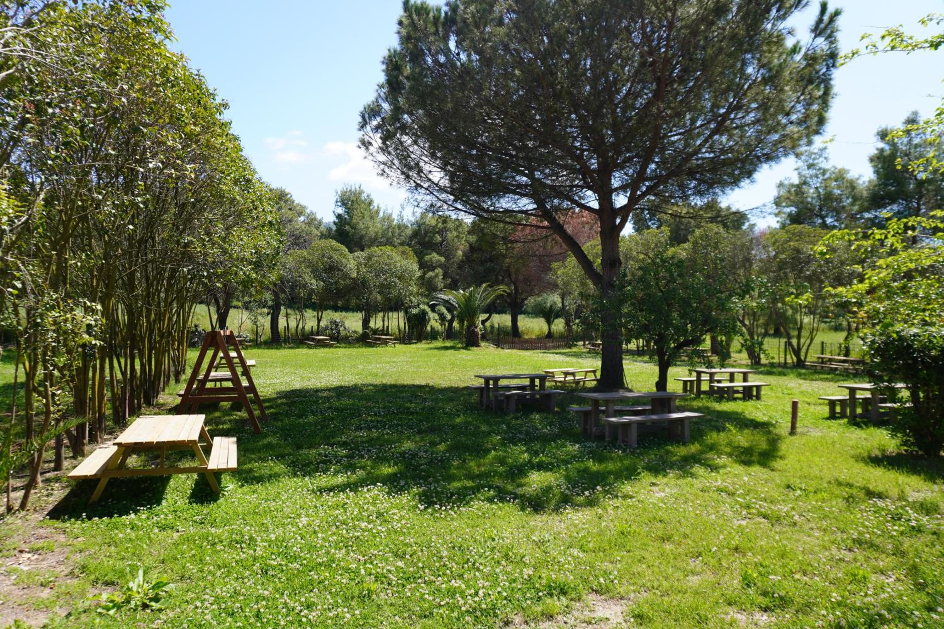 Tenuta Castaldi