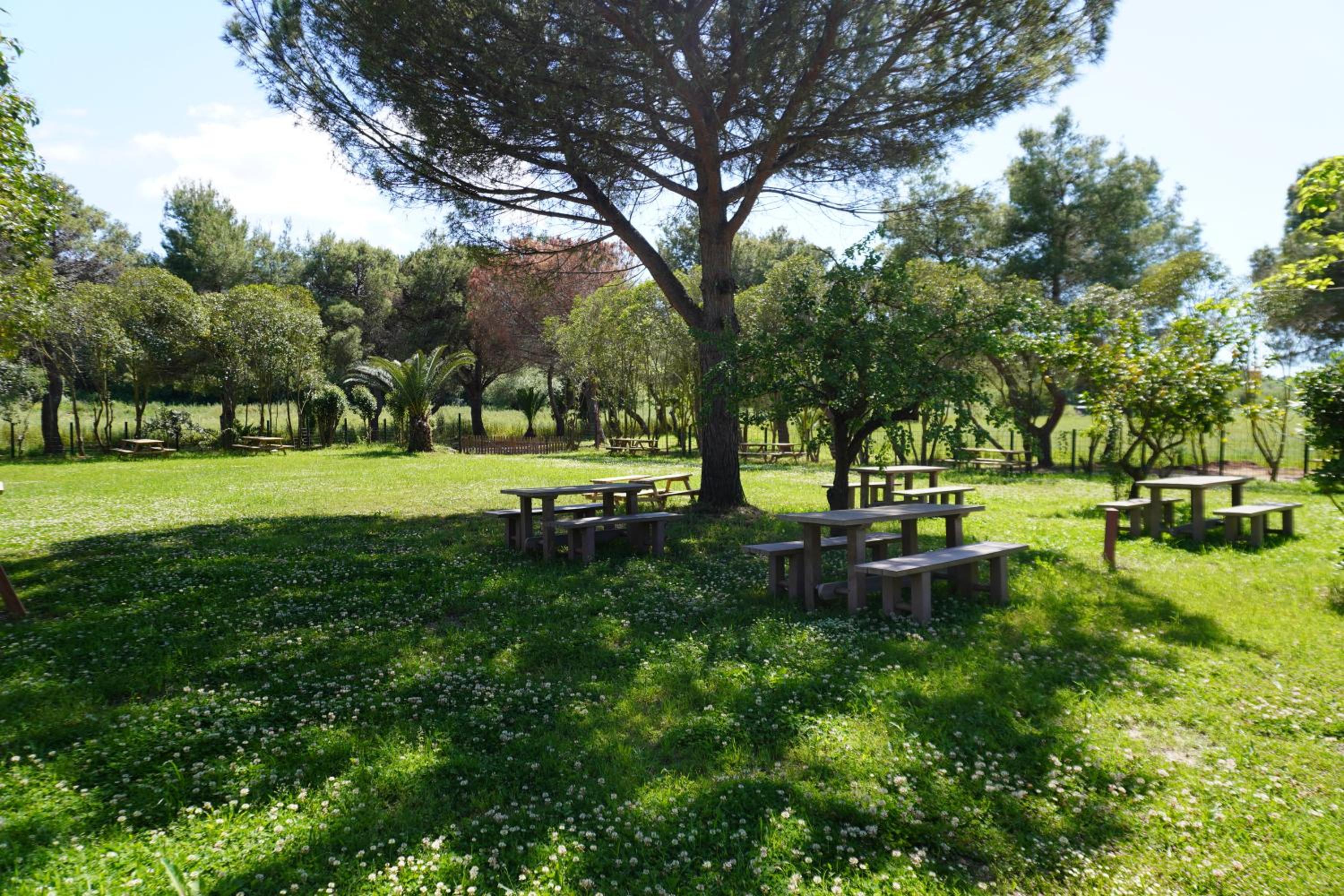 Tenuta Castaldi