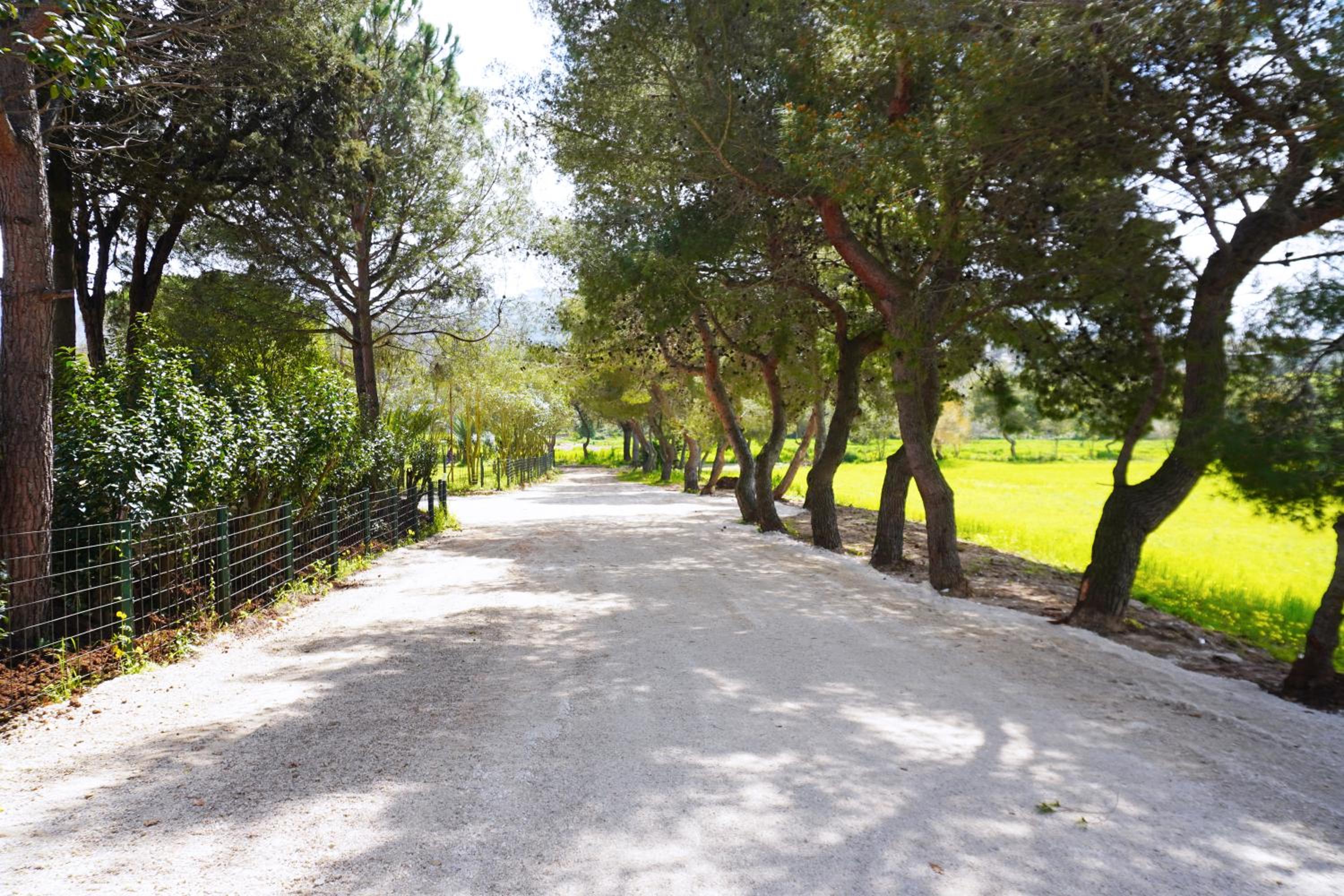 Tenuta Castaldi
