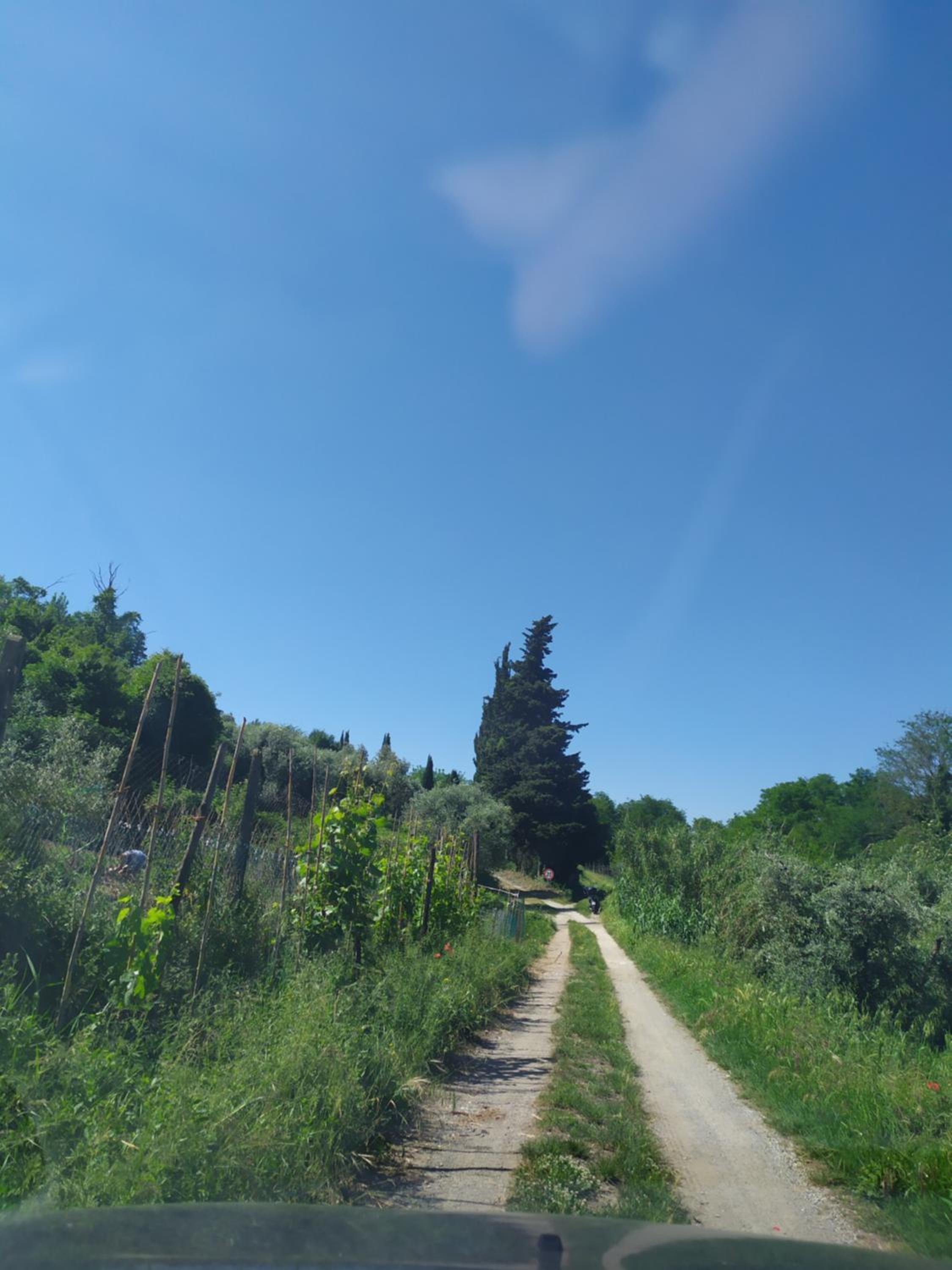 Casa Tre Pini