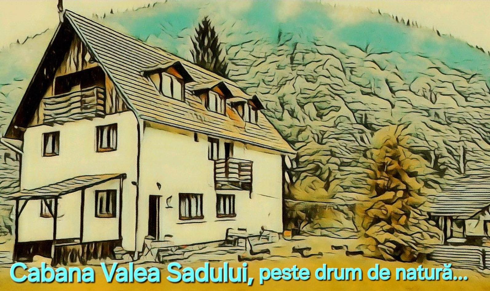 Cabana Valea Sadului