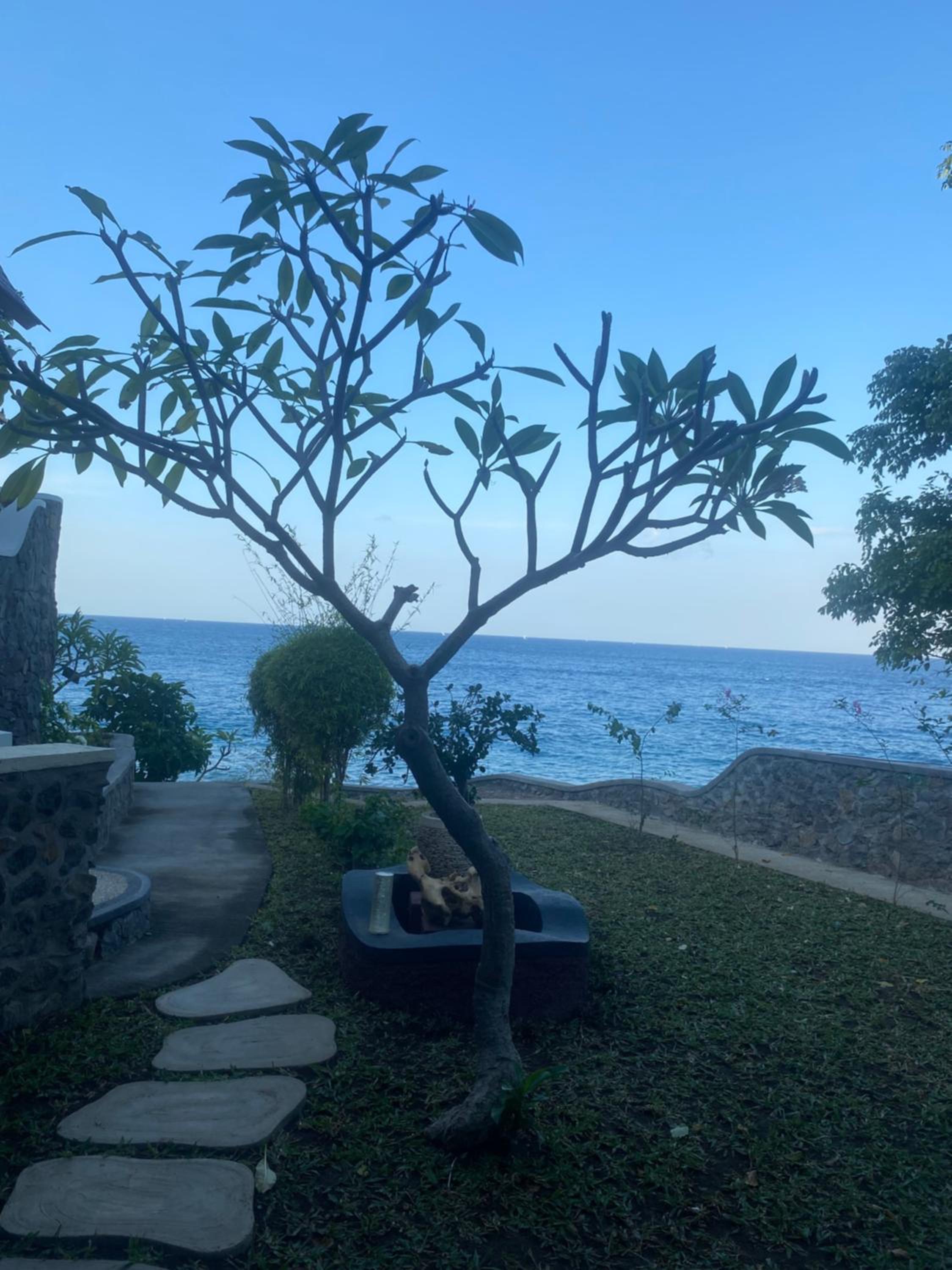 Gili Pesona view 5