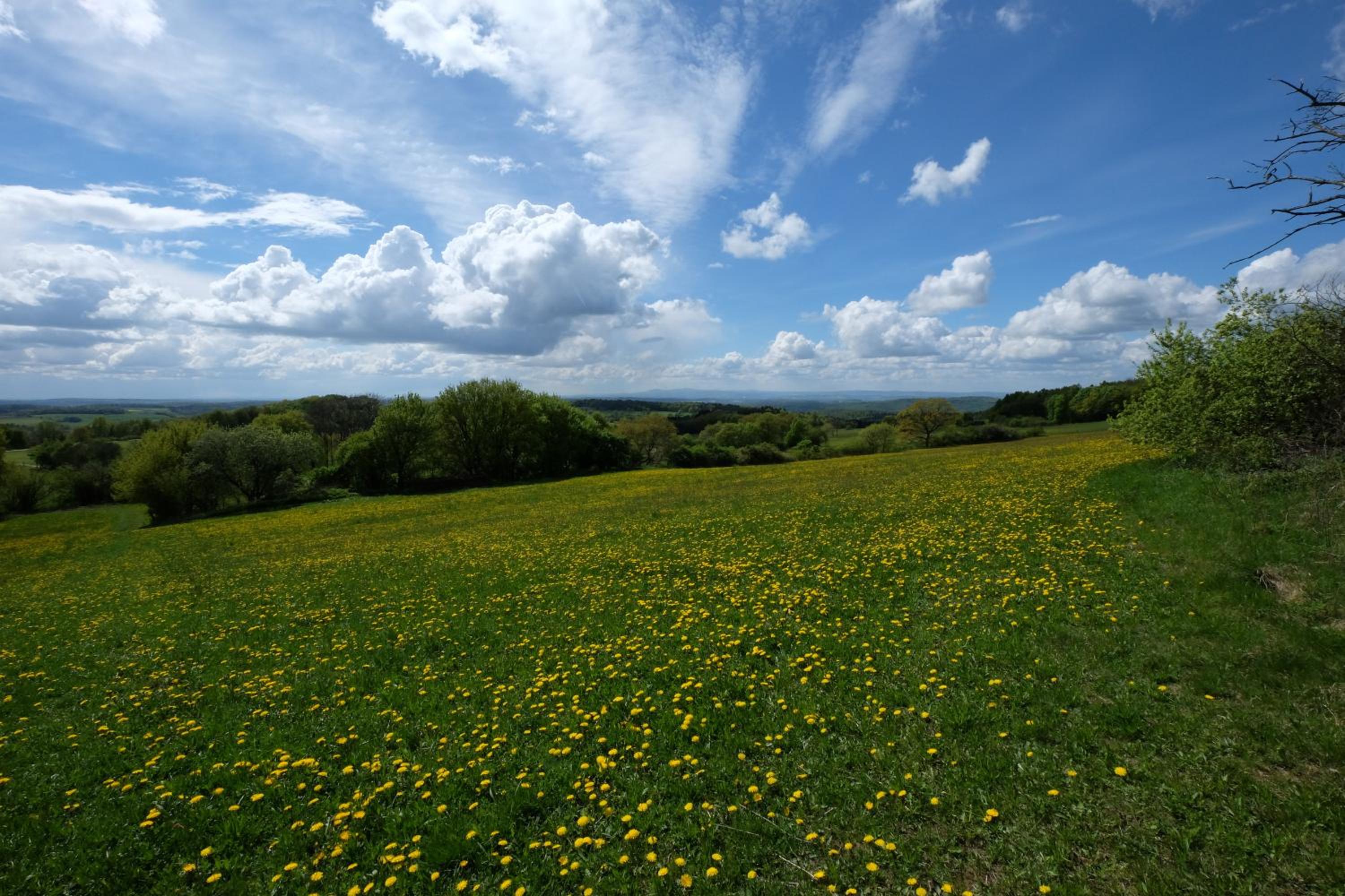 altes forsthaus schotten