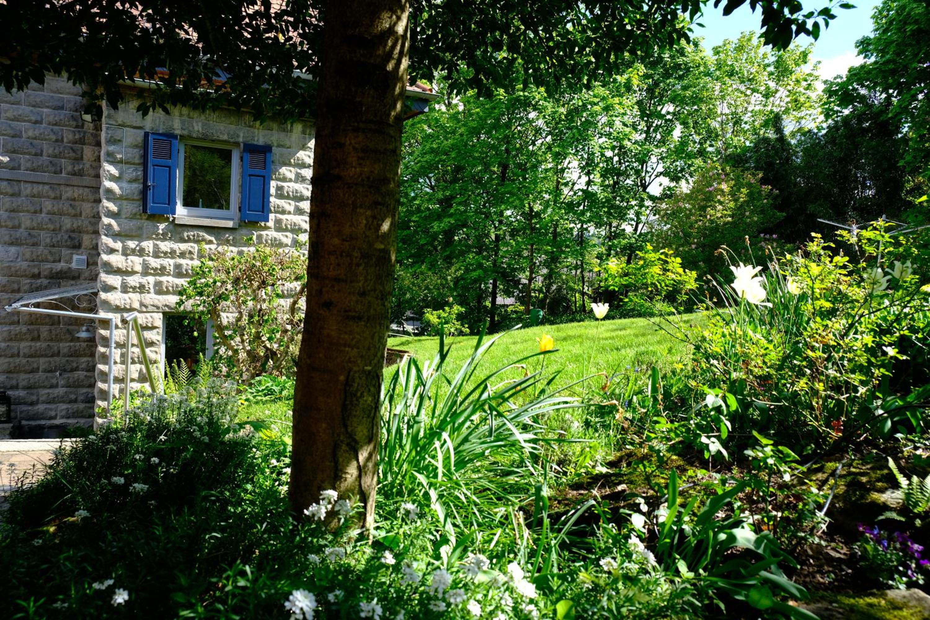 altes forsthaus schotten