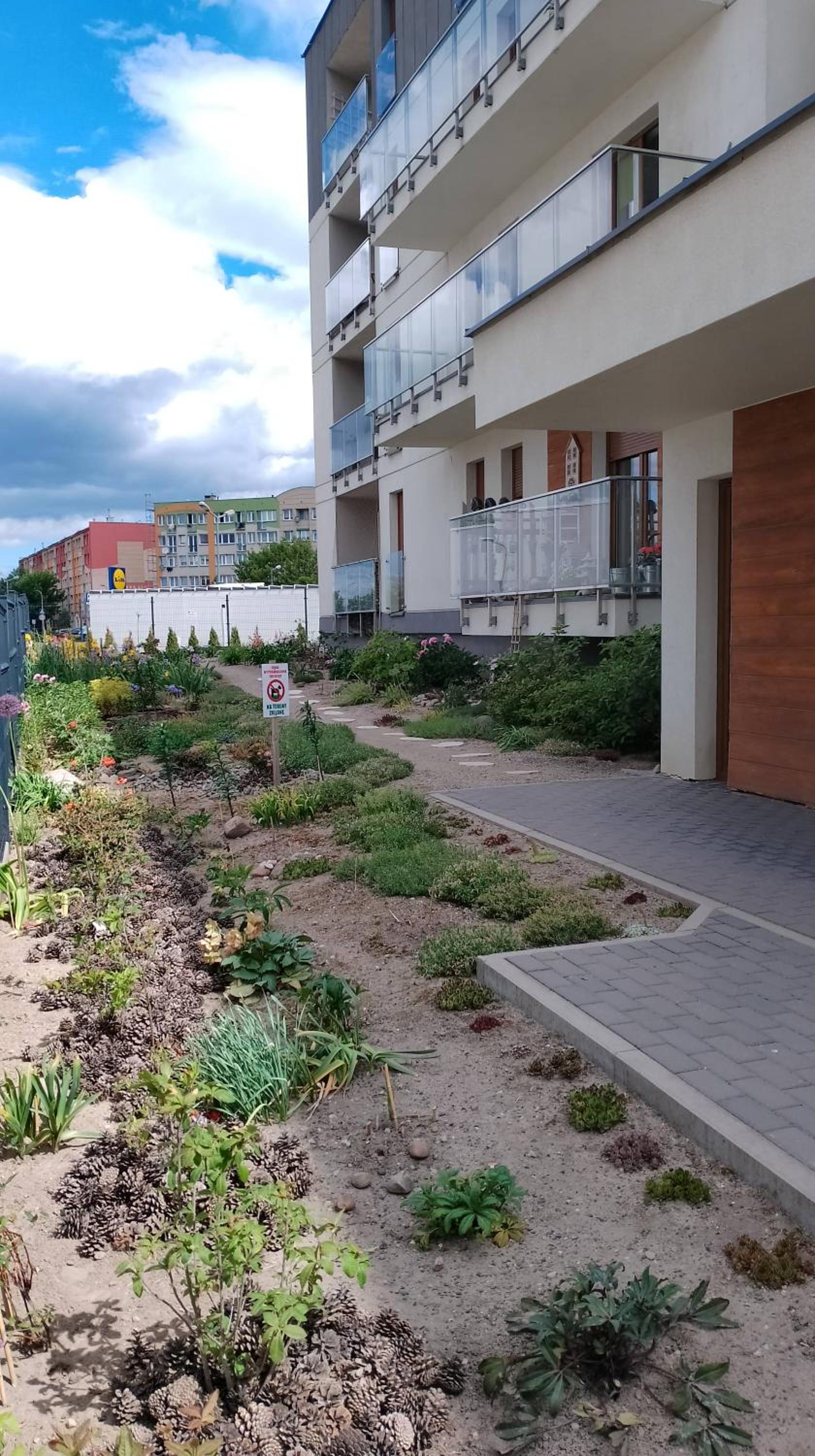 Apartament Kwiatowy klimatyzowany, photo 13