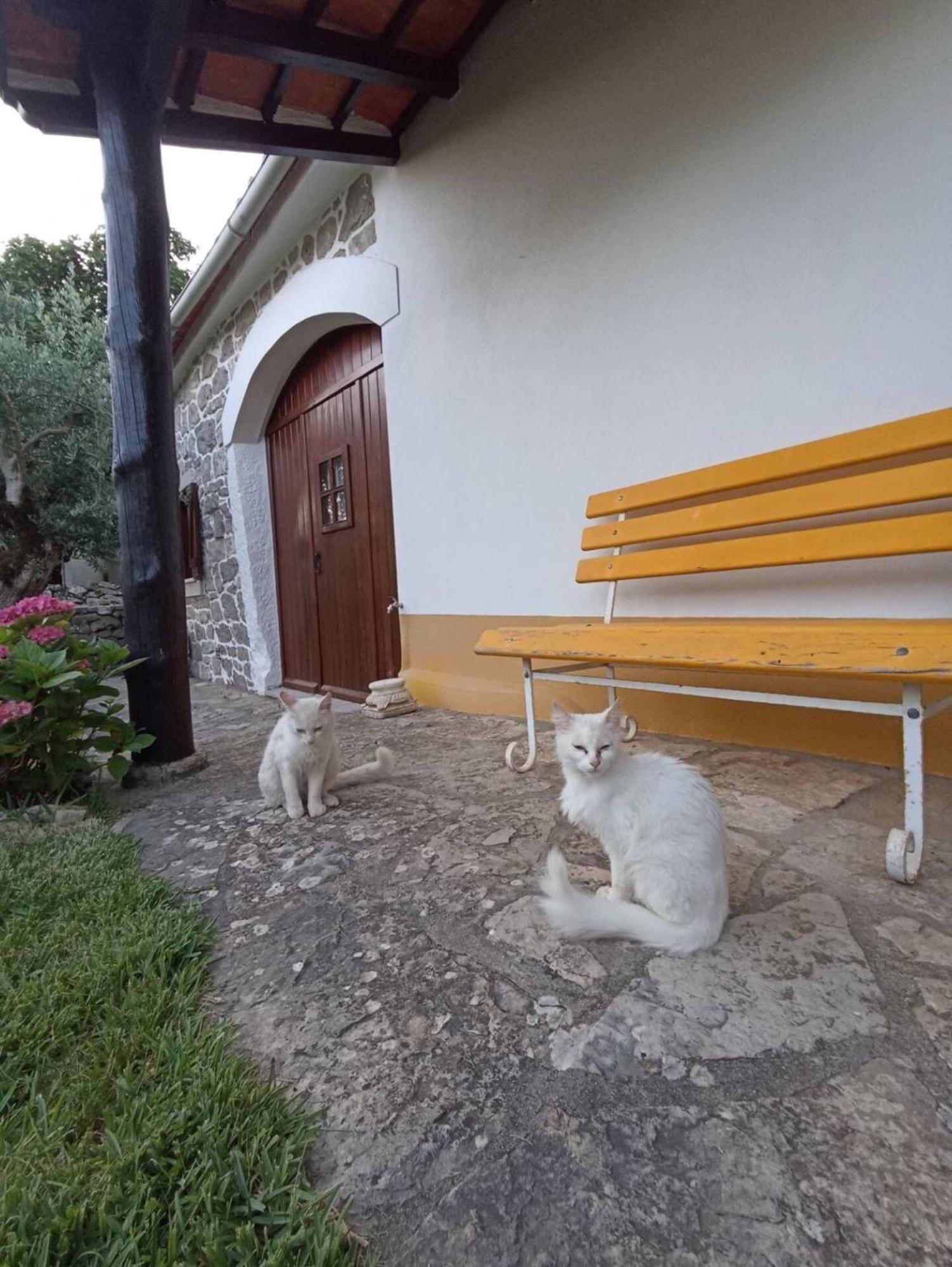 Casa do Largo