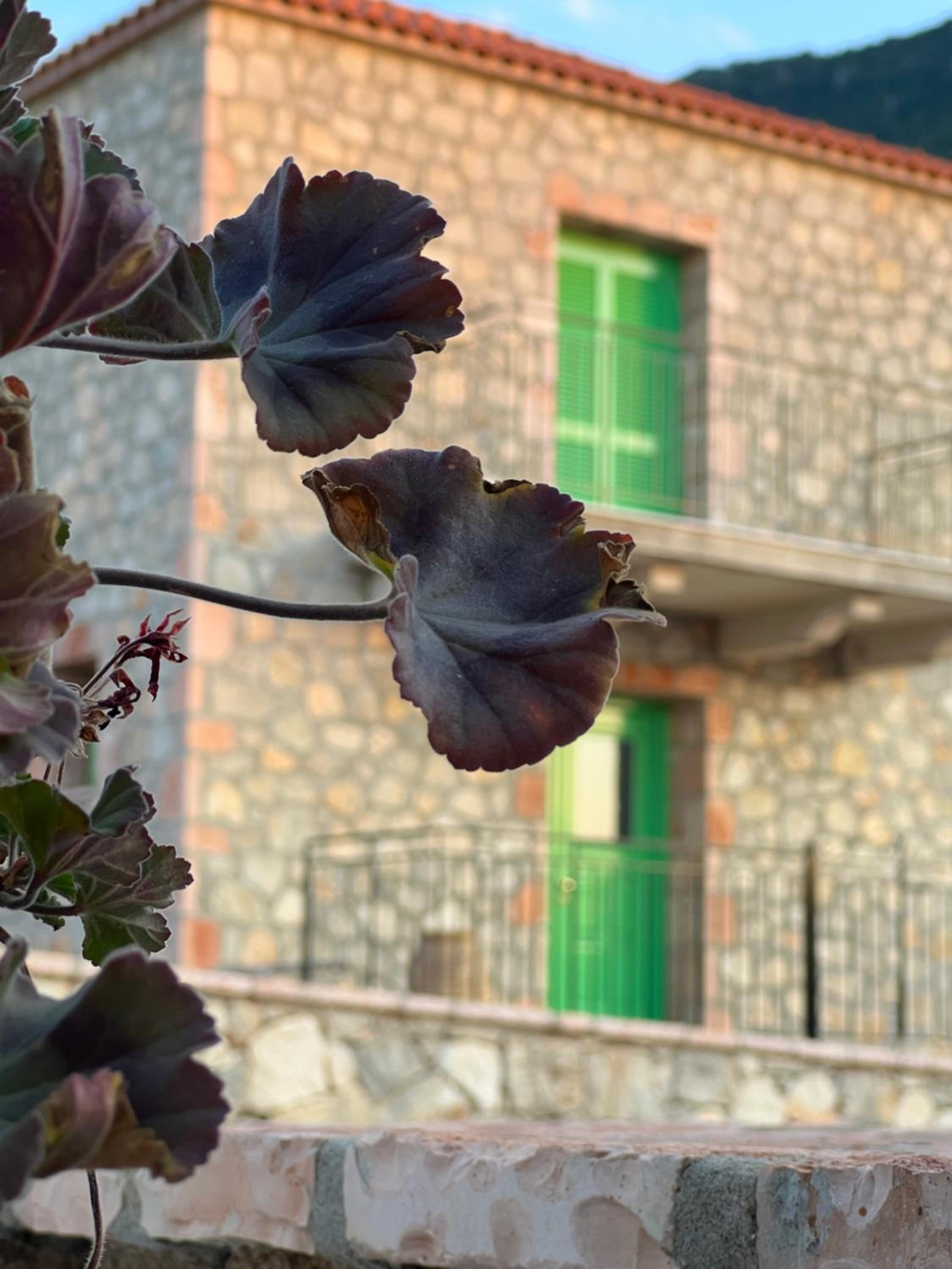 Nymfes Villas