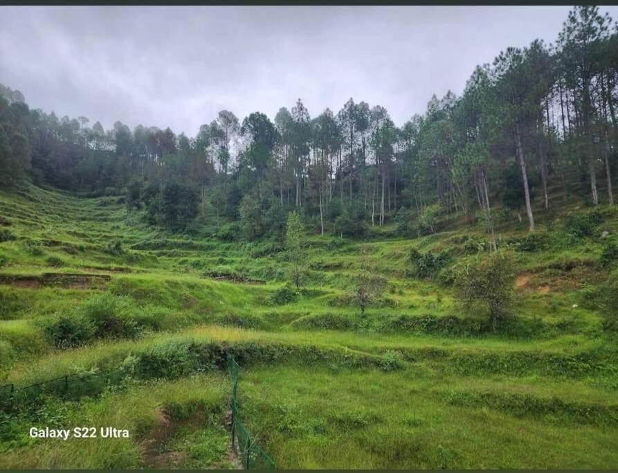 The Highlands Homestay view 5