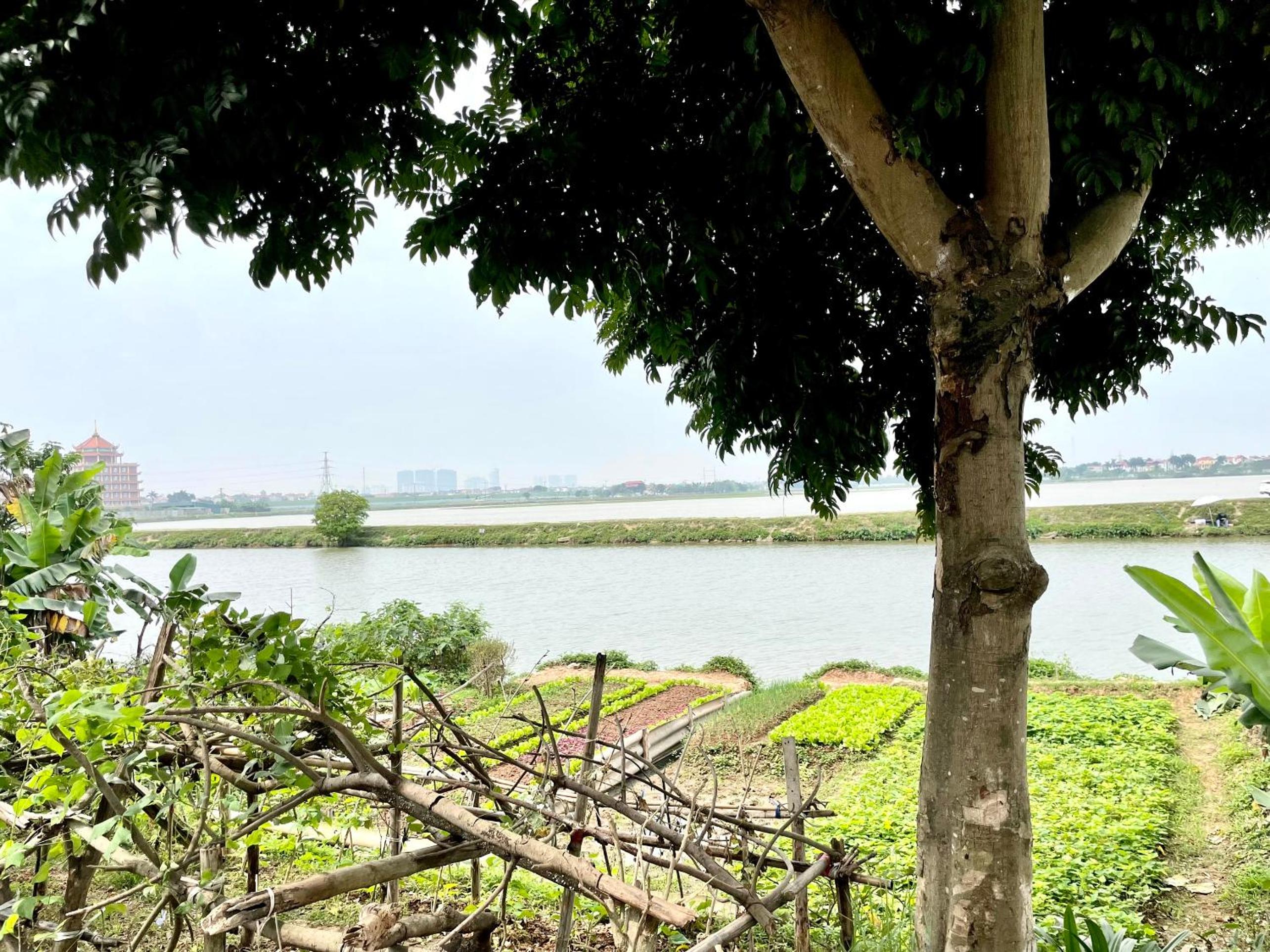 Lee Homestay