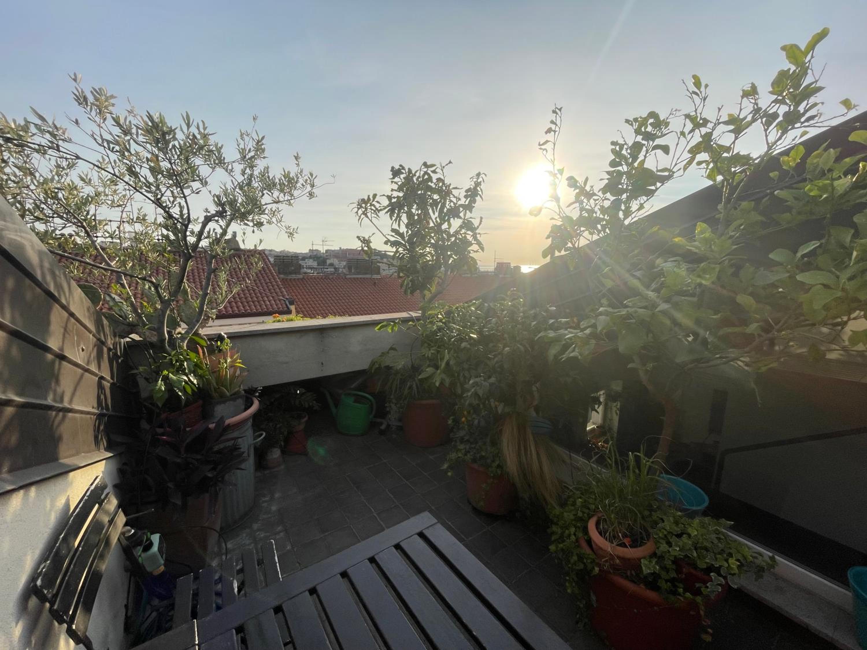 Appartamento con terrazza vista mare photo 3