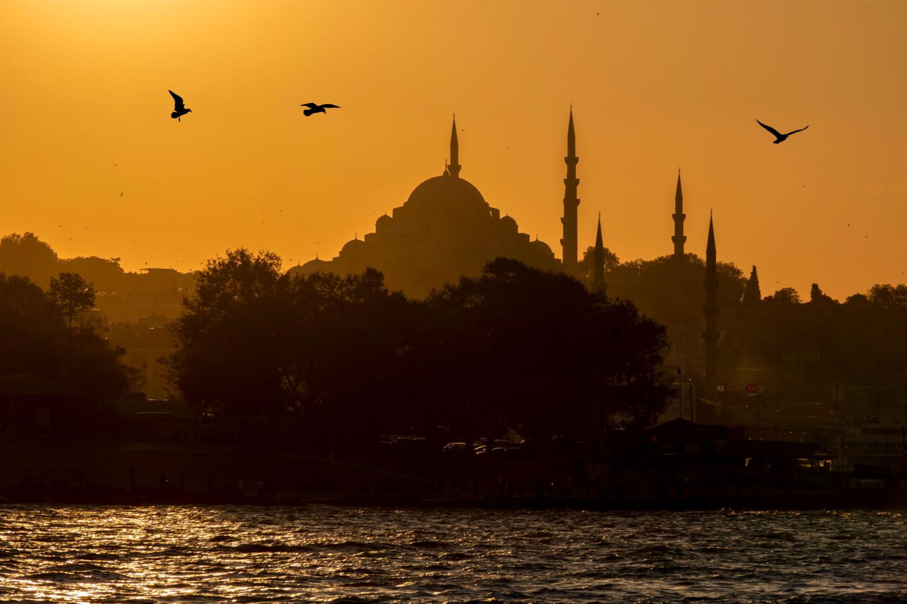 Pera Tulip Otel - Image 9