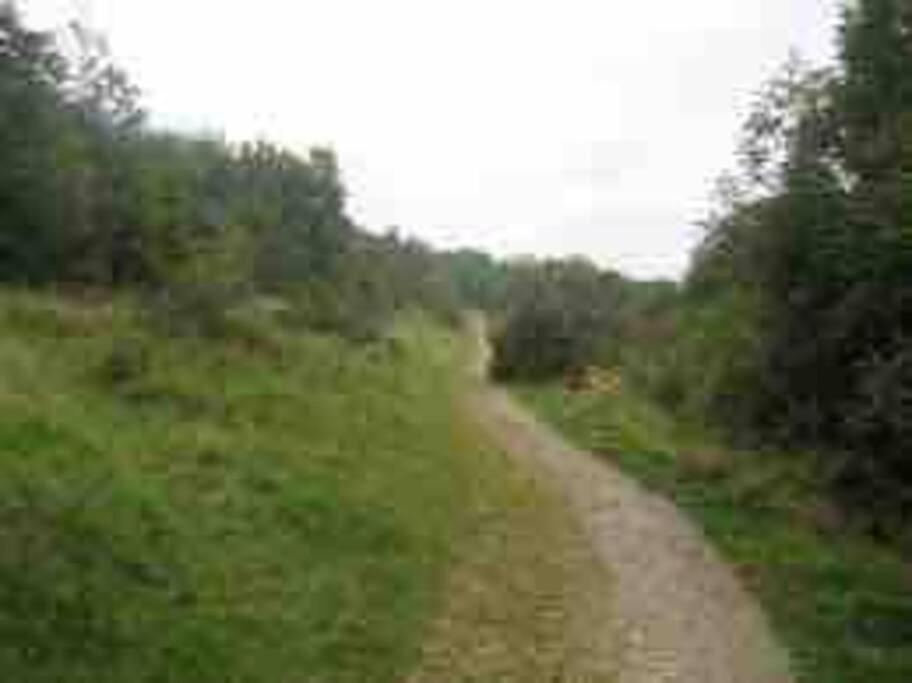 Photo 35
