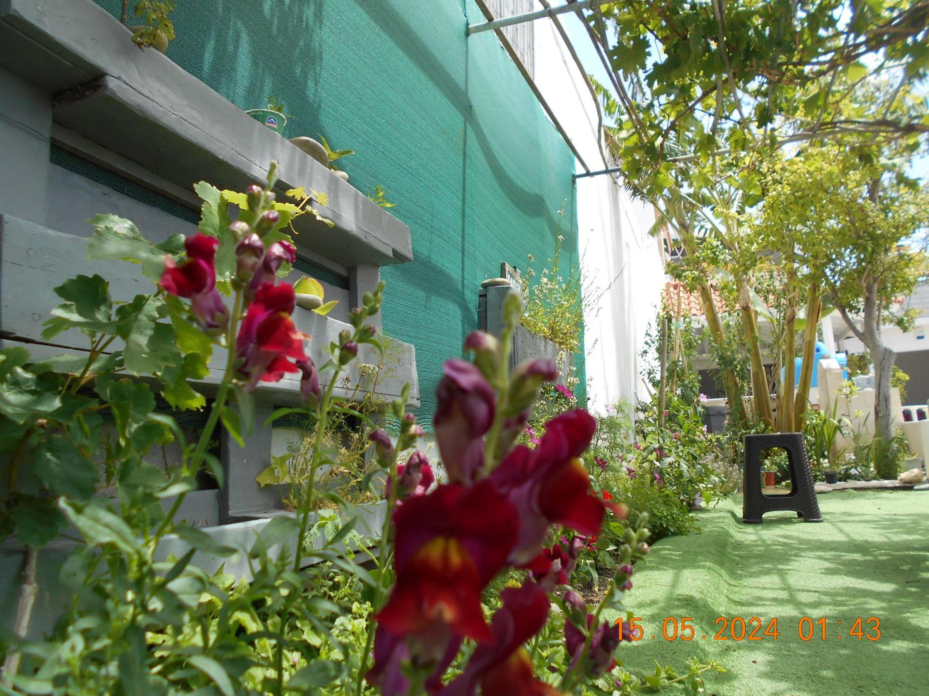 Garifalia Studios
