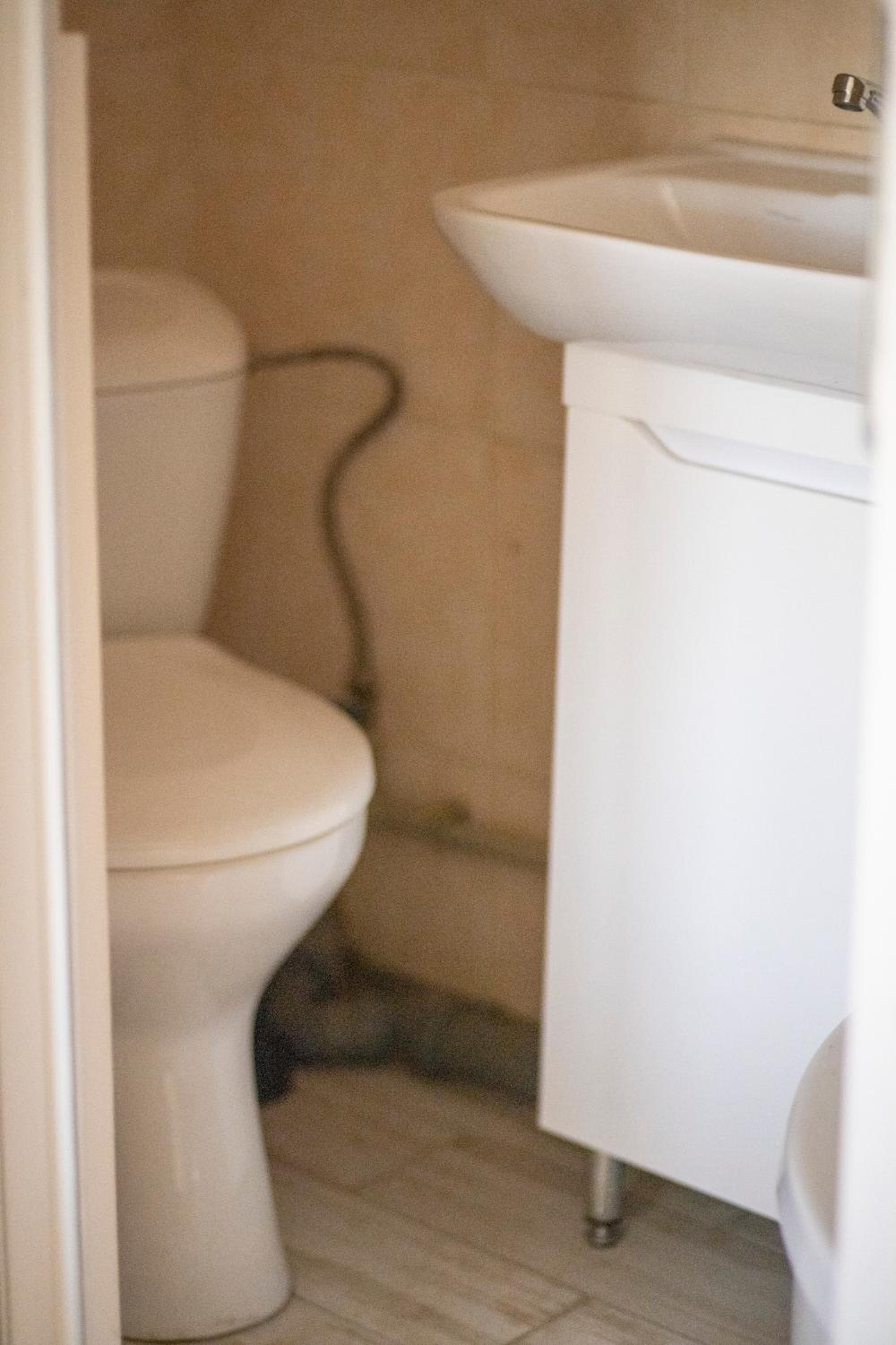 Photo 38