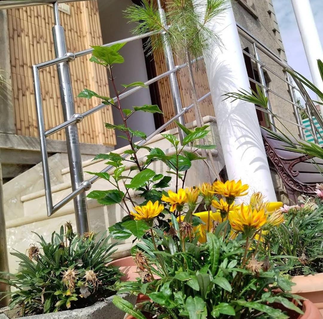 Al-Bilad Guest House view 2
