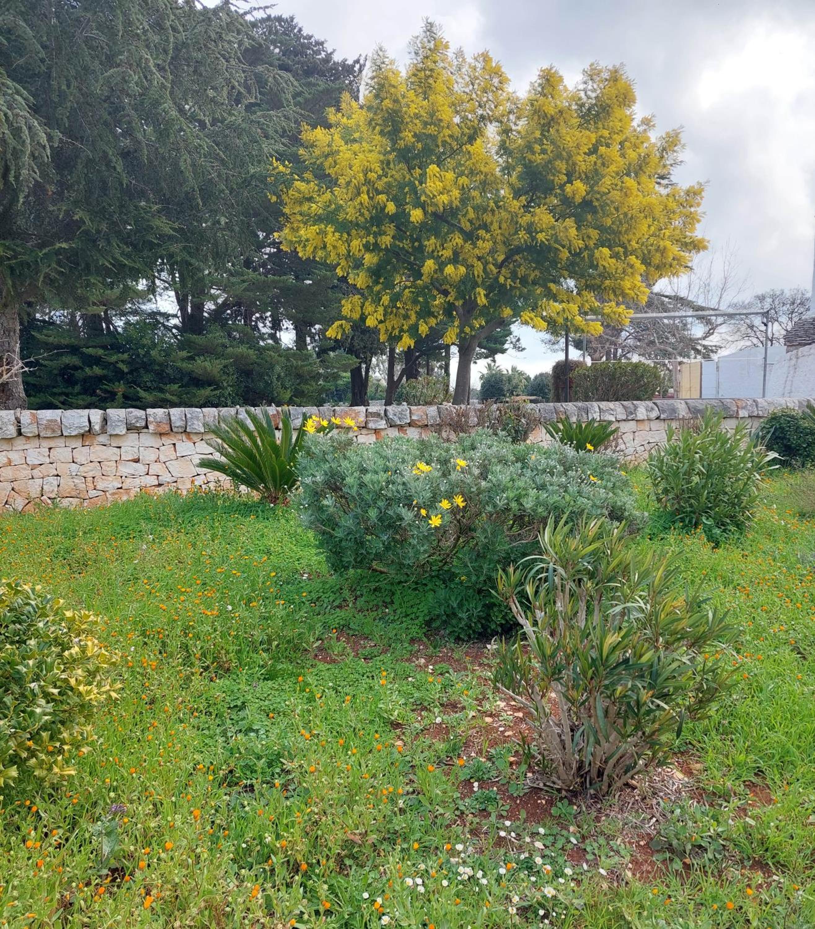 Photo 32