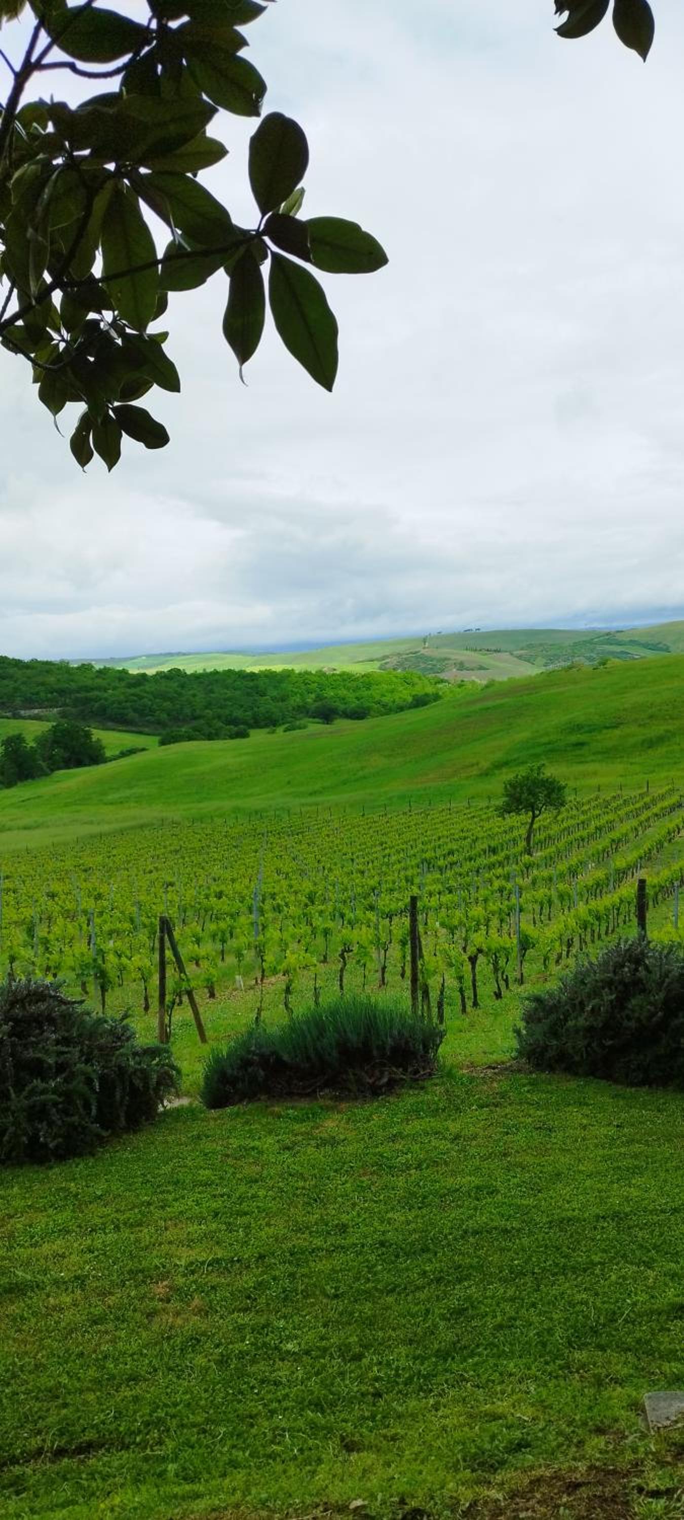 Agriturismo Bagnaia view 3