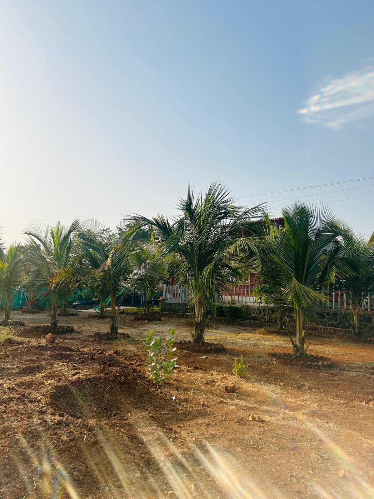 Shritej Farm by Joy Suites