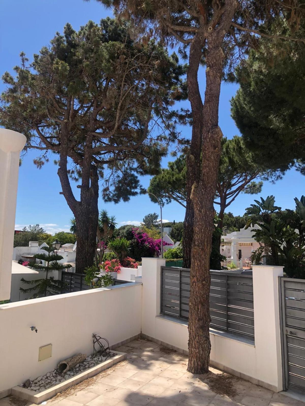 Marbella Vacations - Casa Chico 2 bedroom townhouse 1 Mile from Marina Beaches - Property Image 50