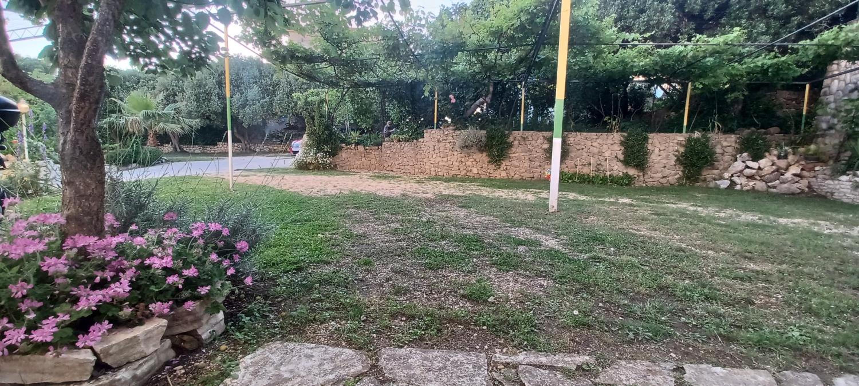 Photo 67