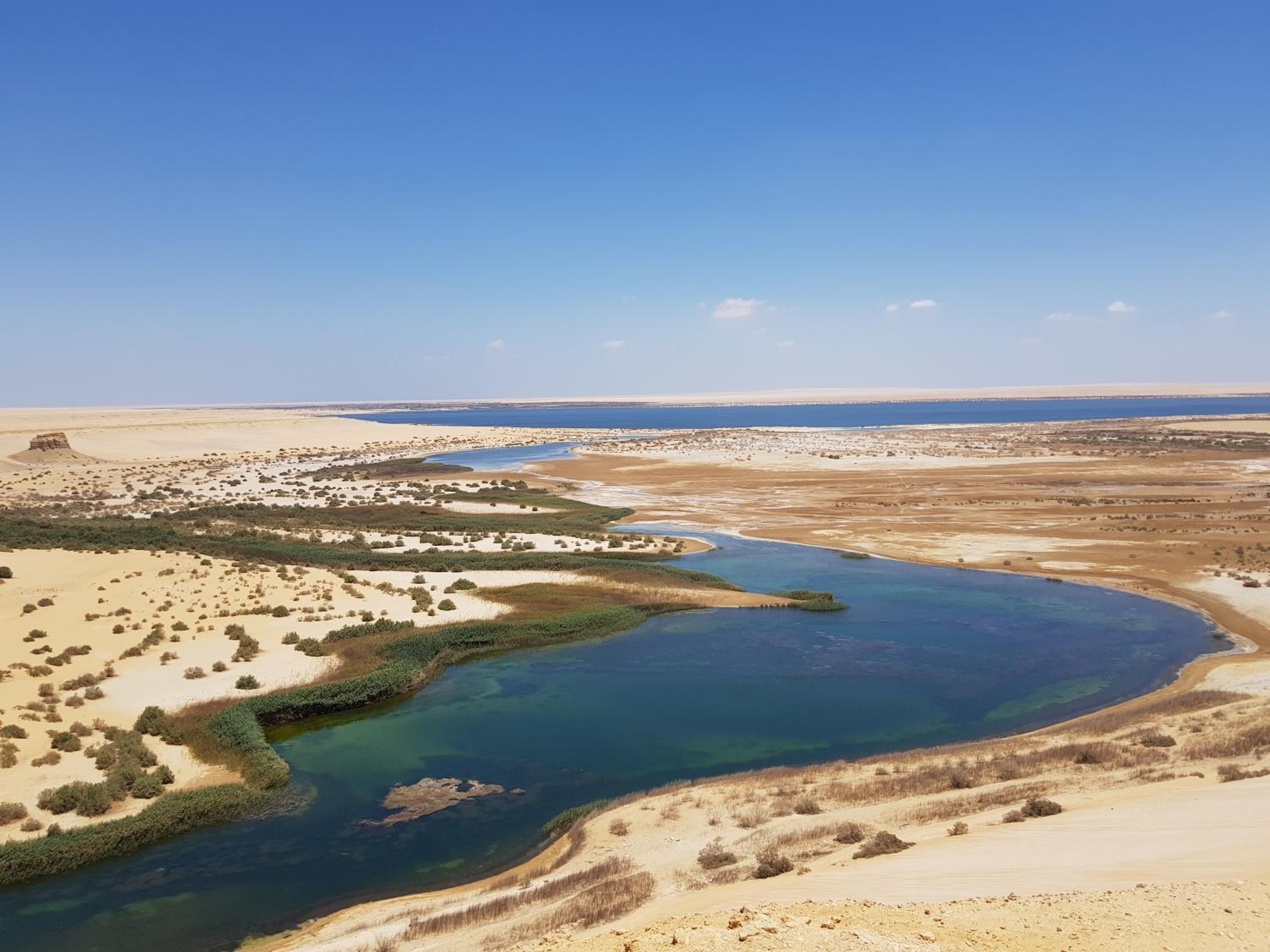 Maged Pyramids View Inn