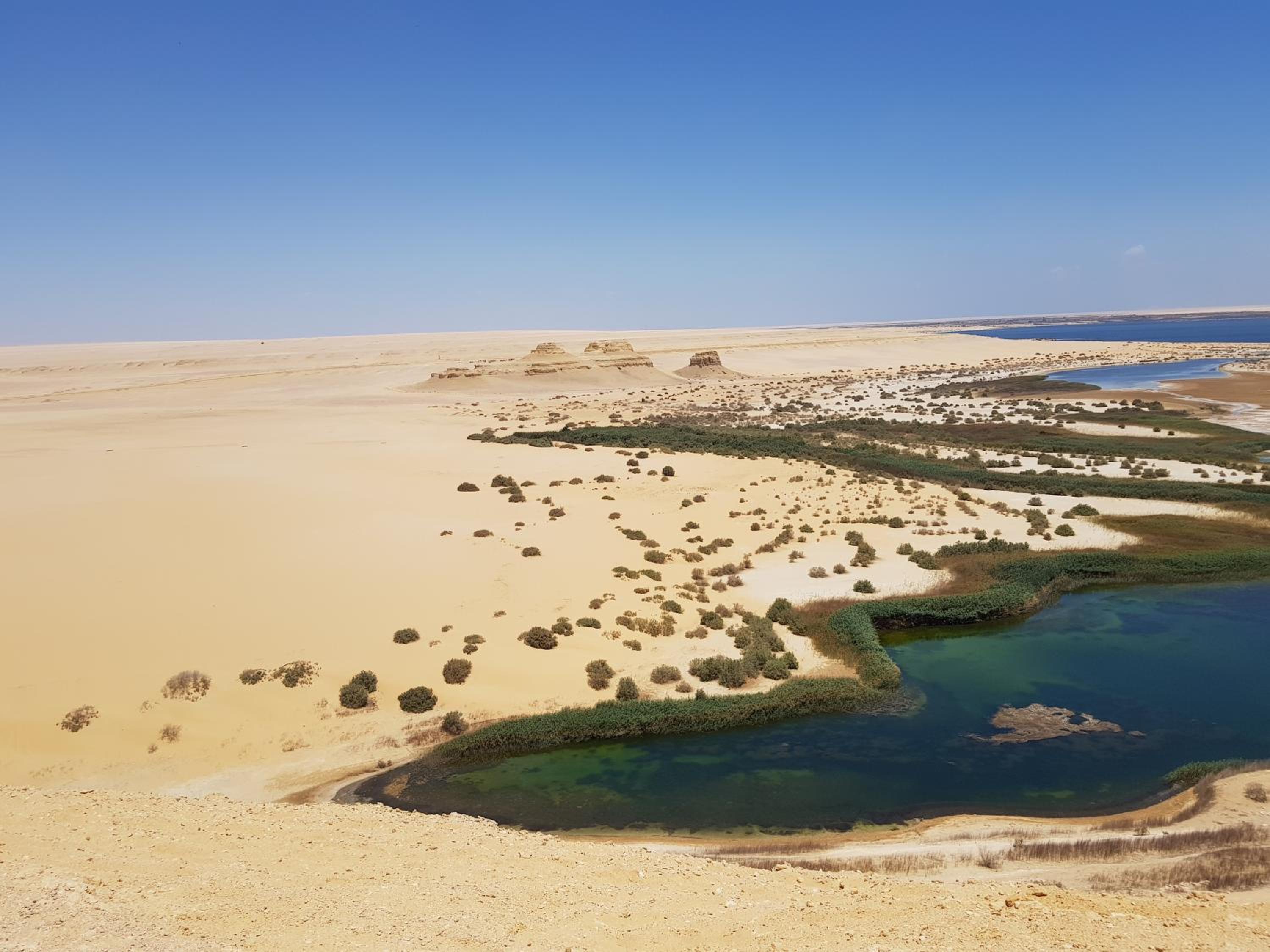 Maged Pyramids View Inn