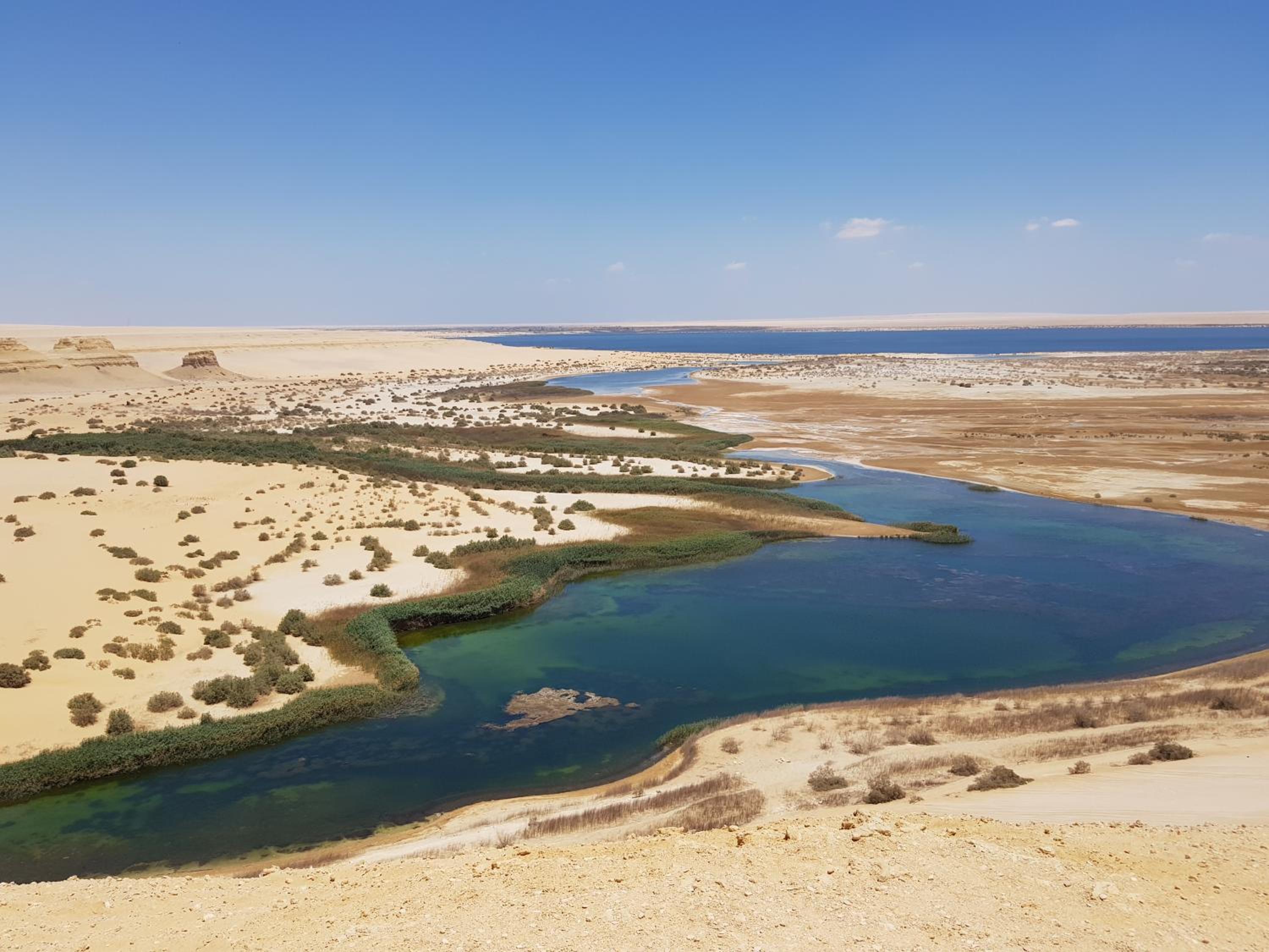 Maged Pyramids View Inn