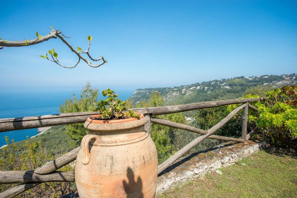 La Cisterna, not only landscape photo 5