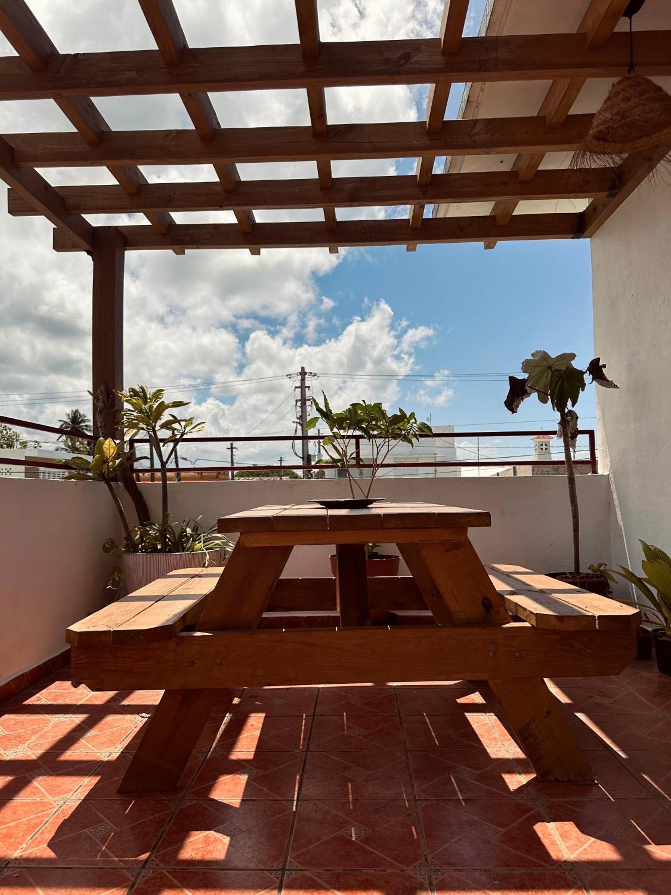 Sonsoleá, photo 87