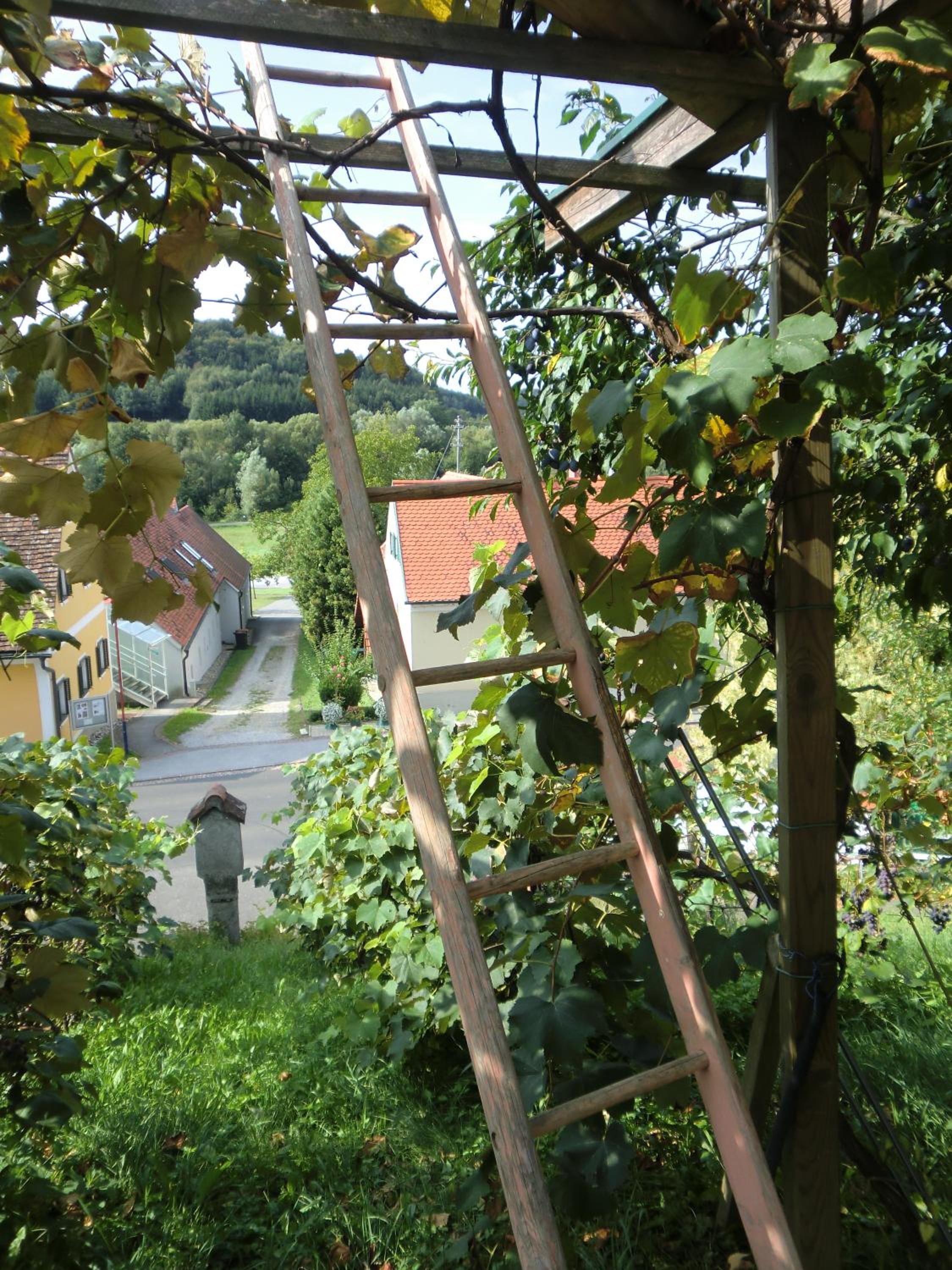 Gasthof Siegfried Gruber