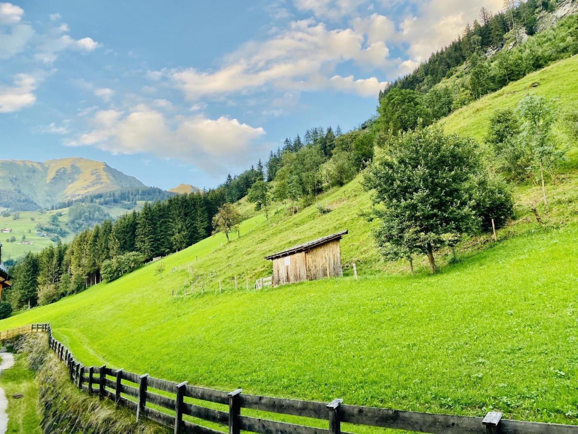 Ferienwohnung für 4 Personen ca 55 qm in Rauris, Salzburger Land Rauristal - b62137