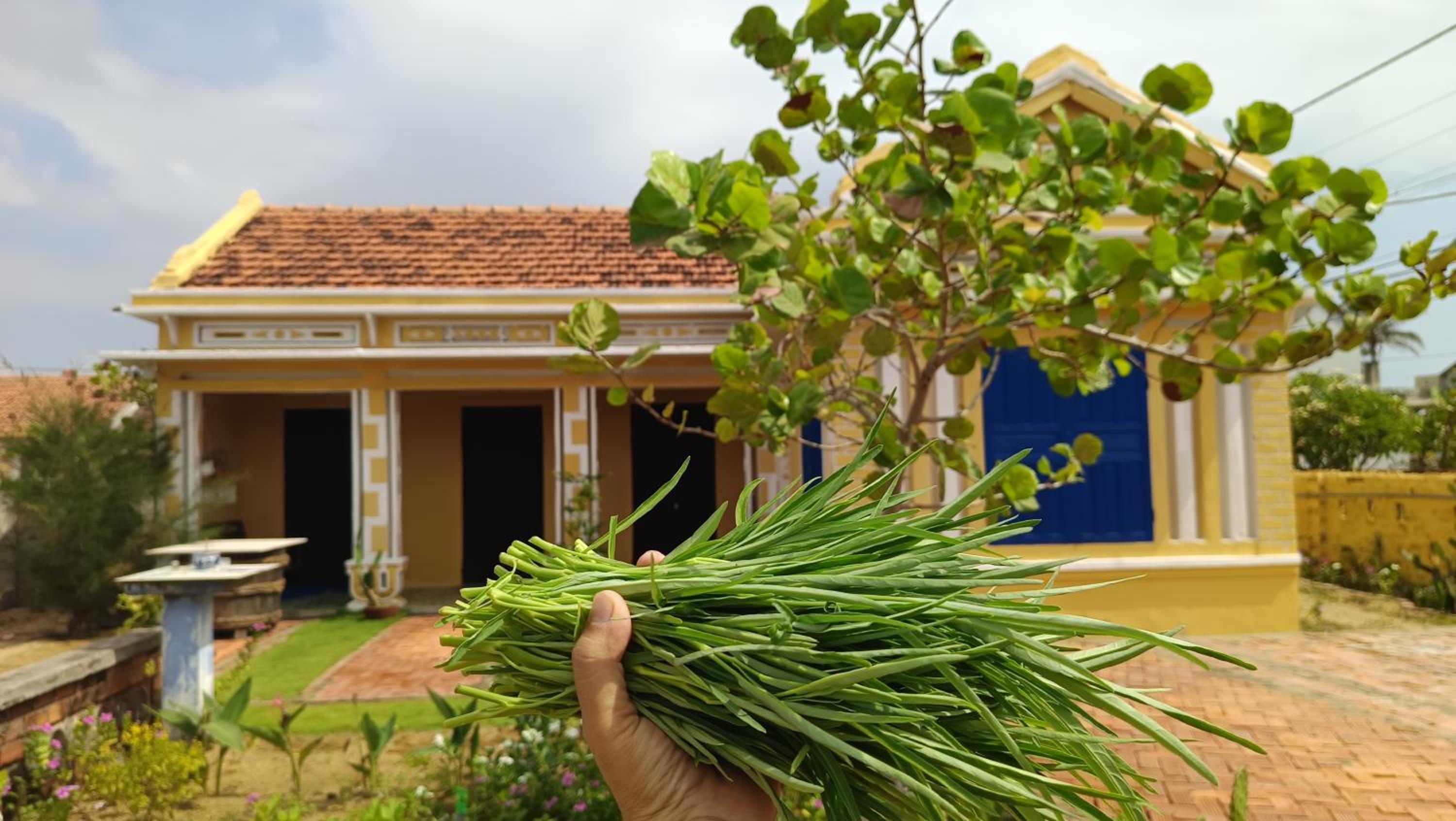 Ecohost Đông Hòa view 2