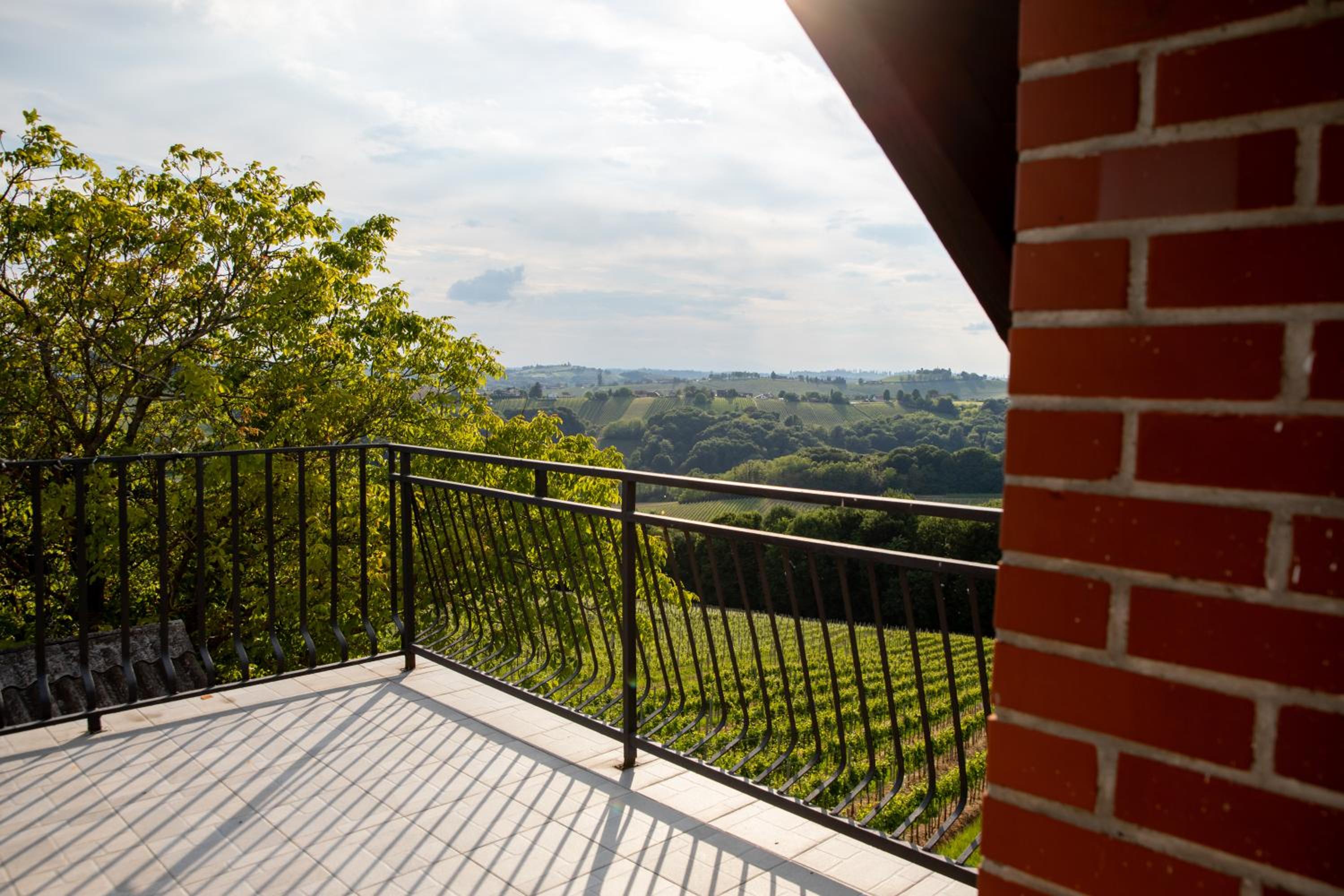 Holiday Home Međimurski Raj view 5