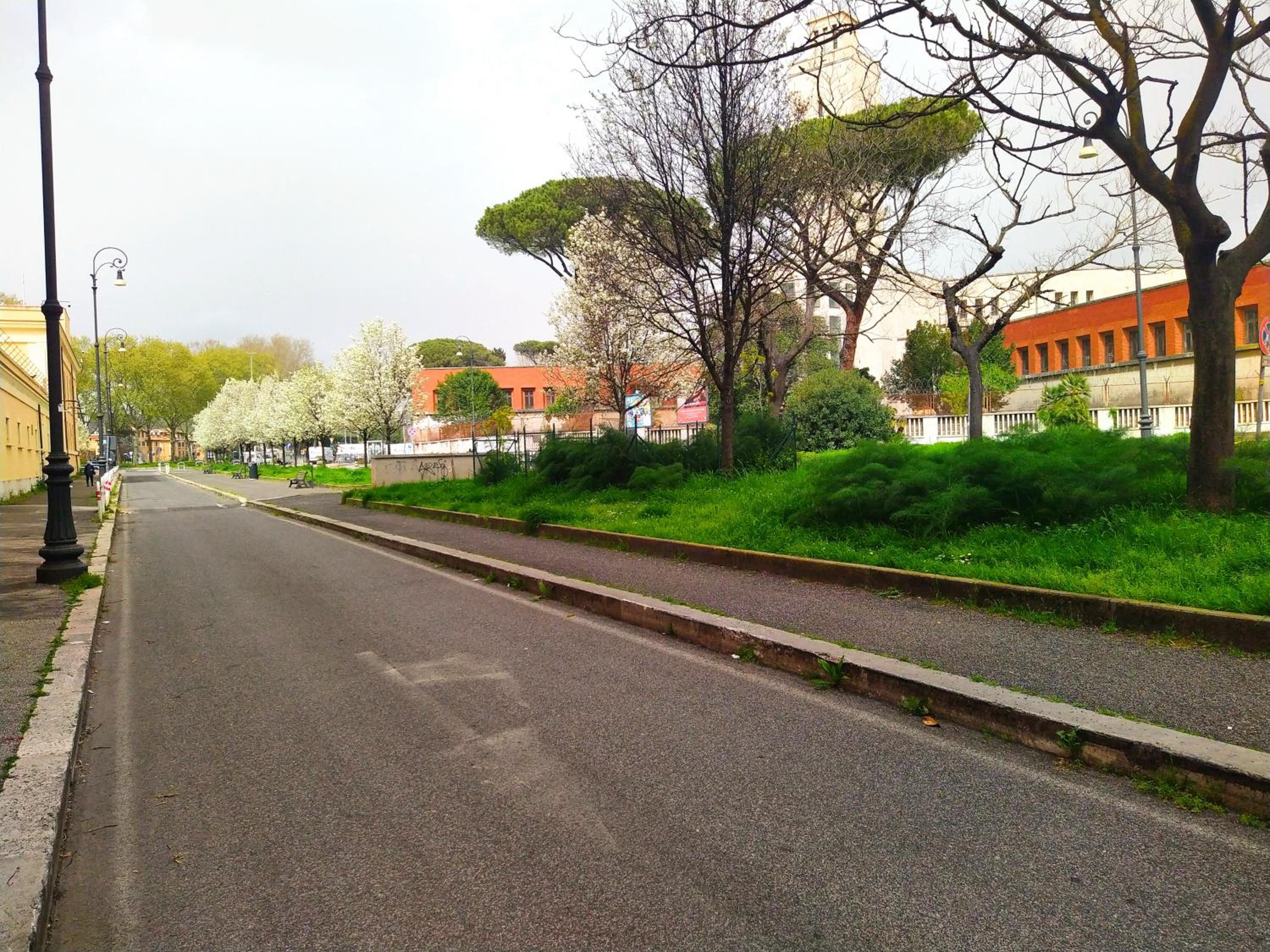Loryand near Stadio Olimpico