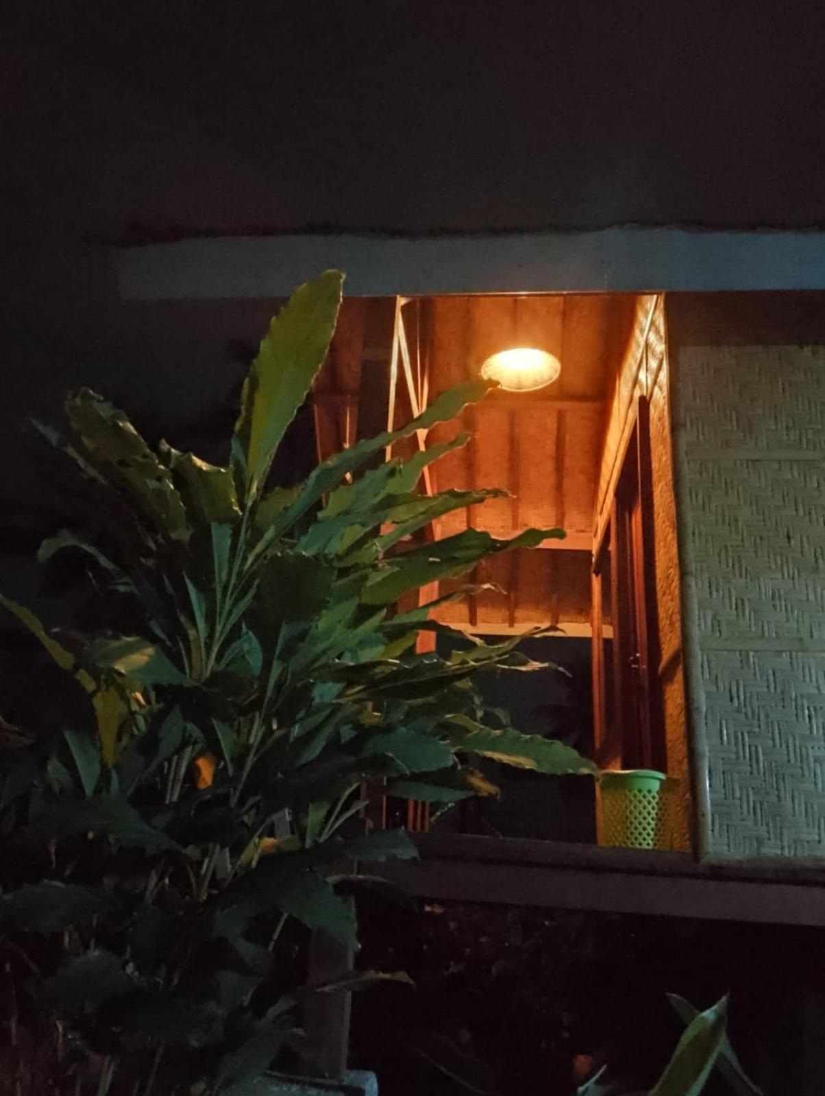 Citra Homestay