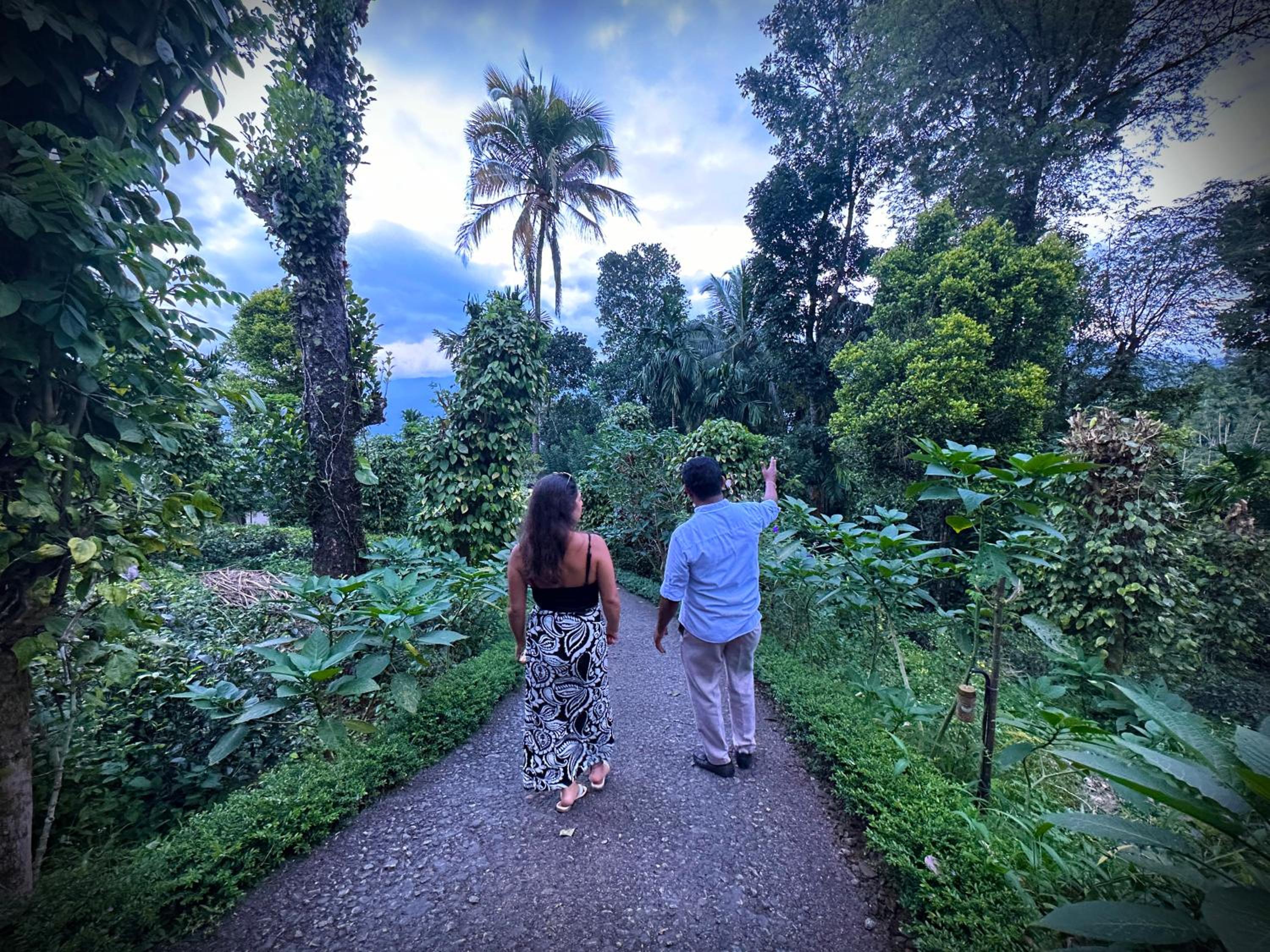 Aarunya Nature Resort - Kandy
