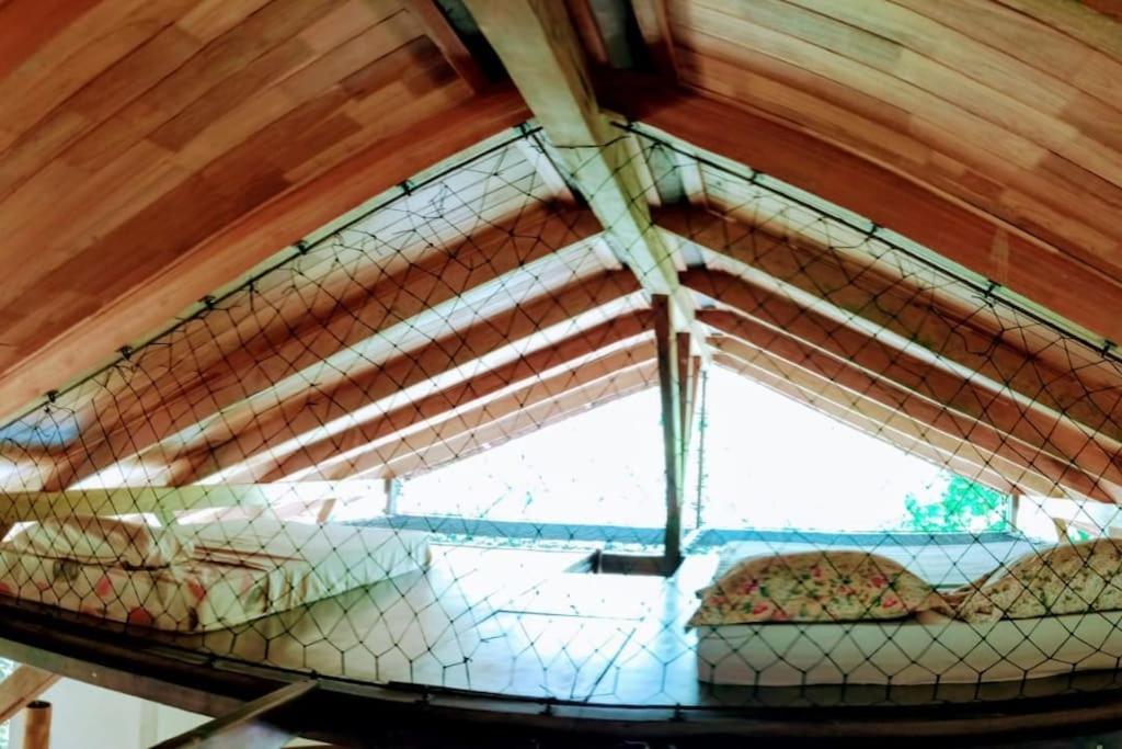 Eco Lodge near Corcovado, 400m to Beach on a Peaceful Private Reserve