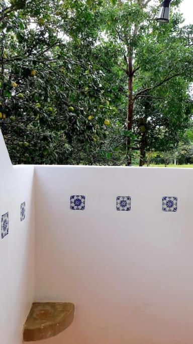 Eco Lodge near Corcovado, 400m to Beach on a Peaceful Private Reserve