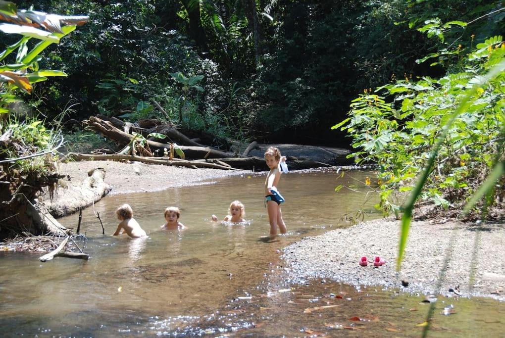 Eco Lodge near Corcovado, 400m to Beach on a Peaceful Private Reserve