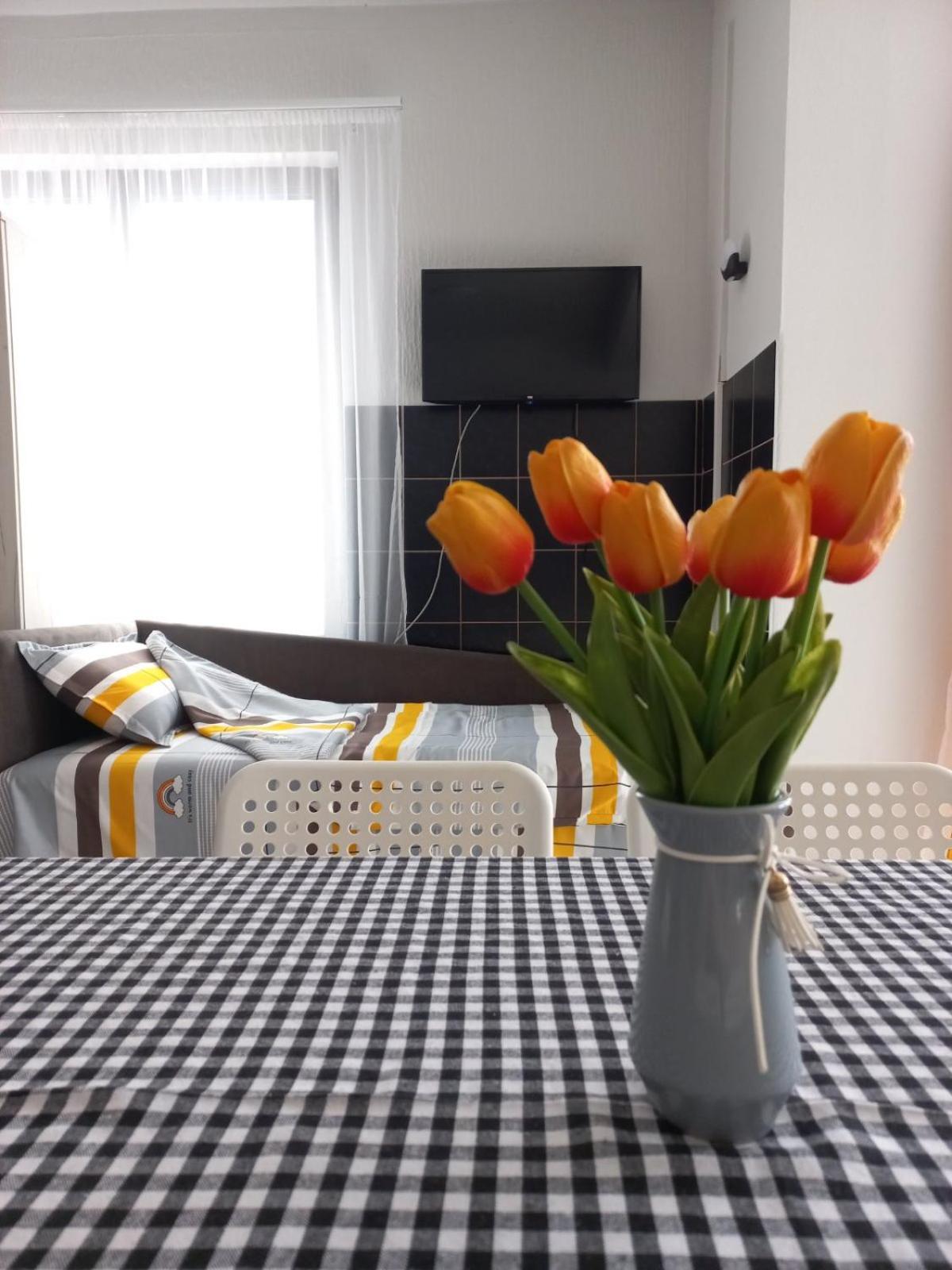 Studio apartman Beus