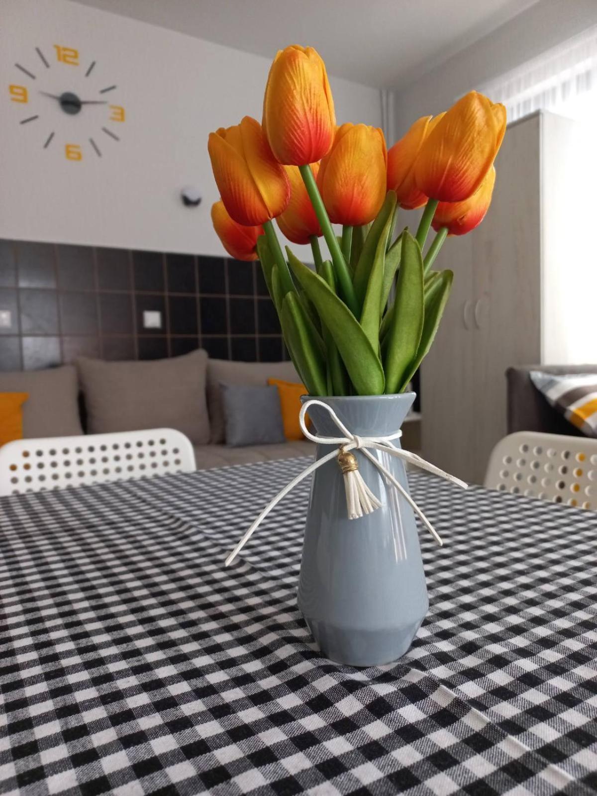 Studio apartman Beus