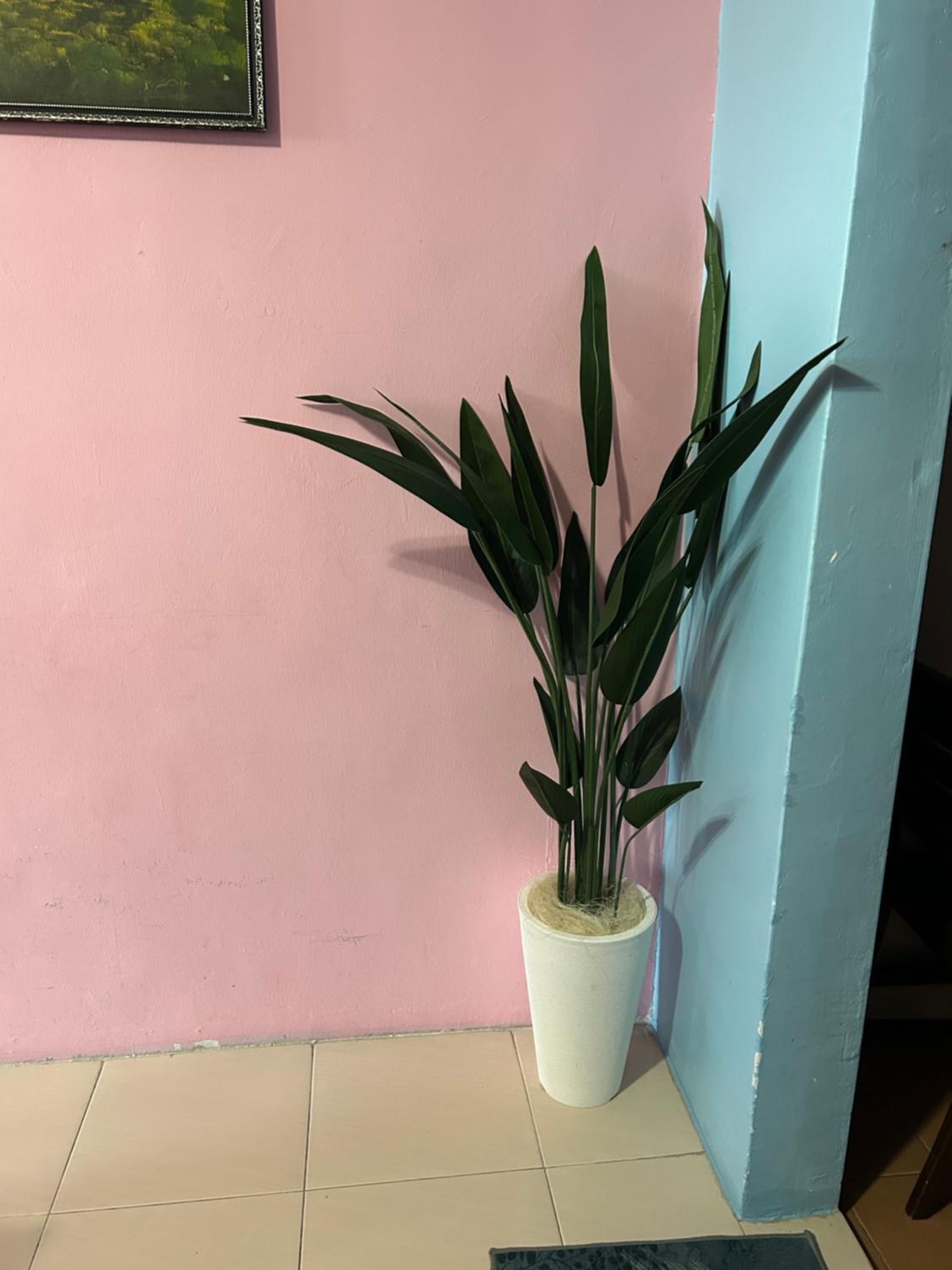 Zurie Muslim Homestay