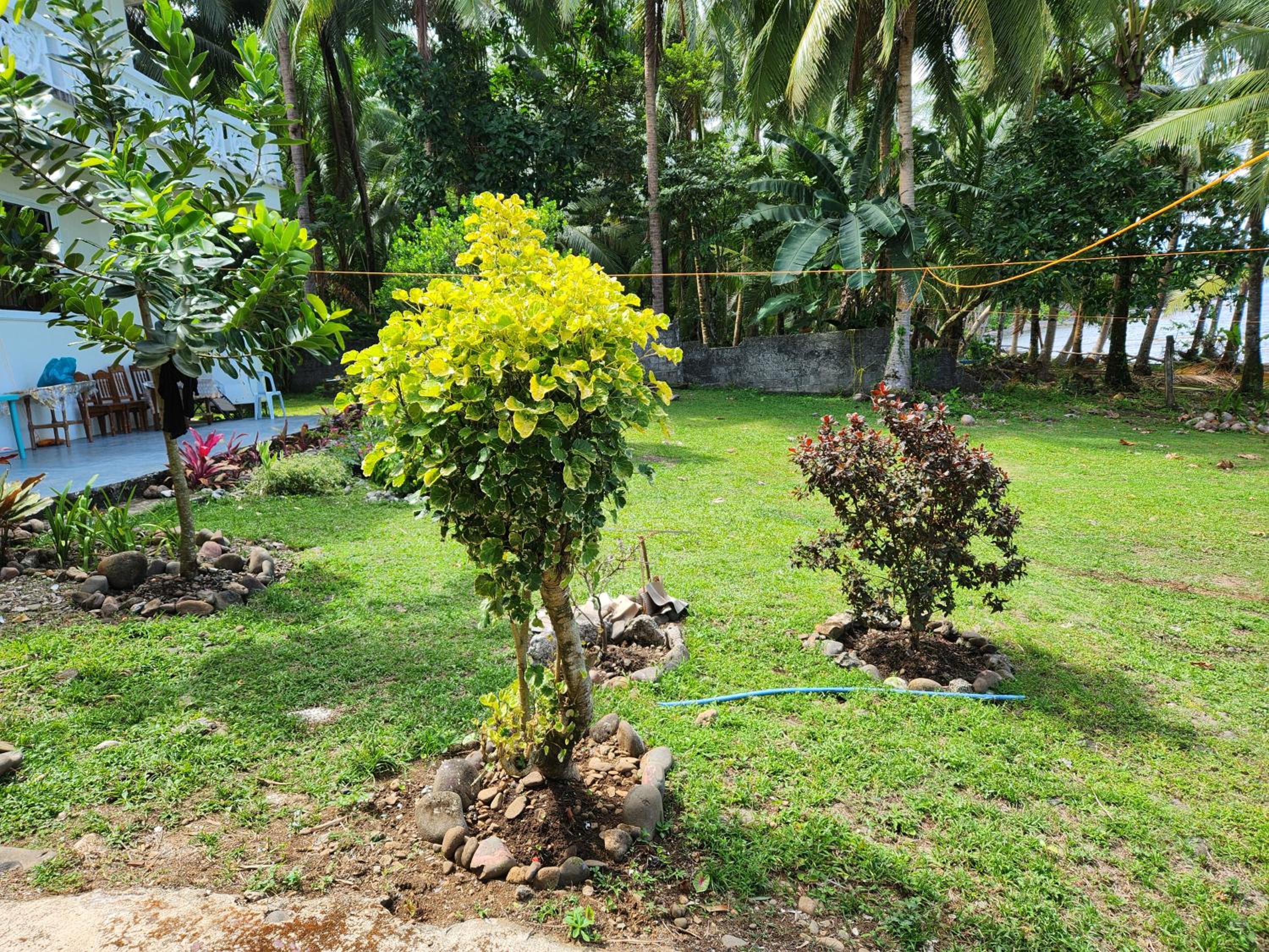 Photo 46