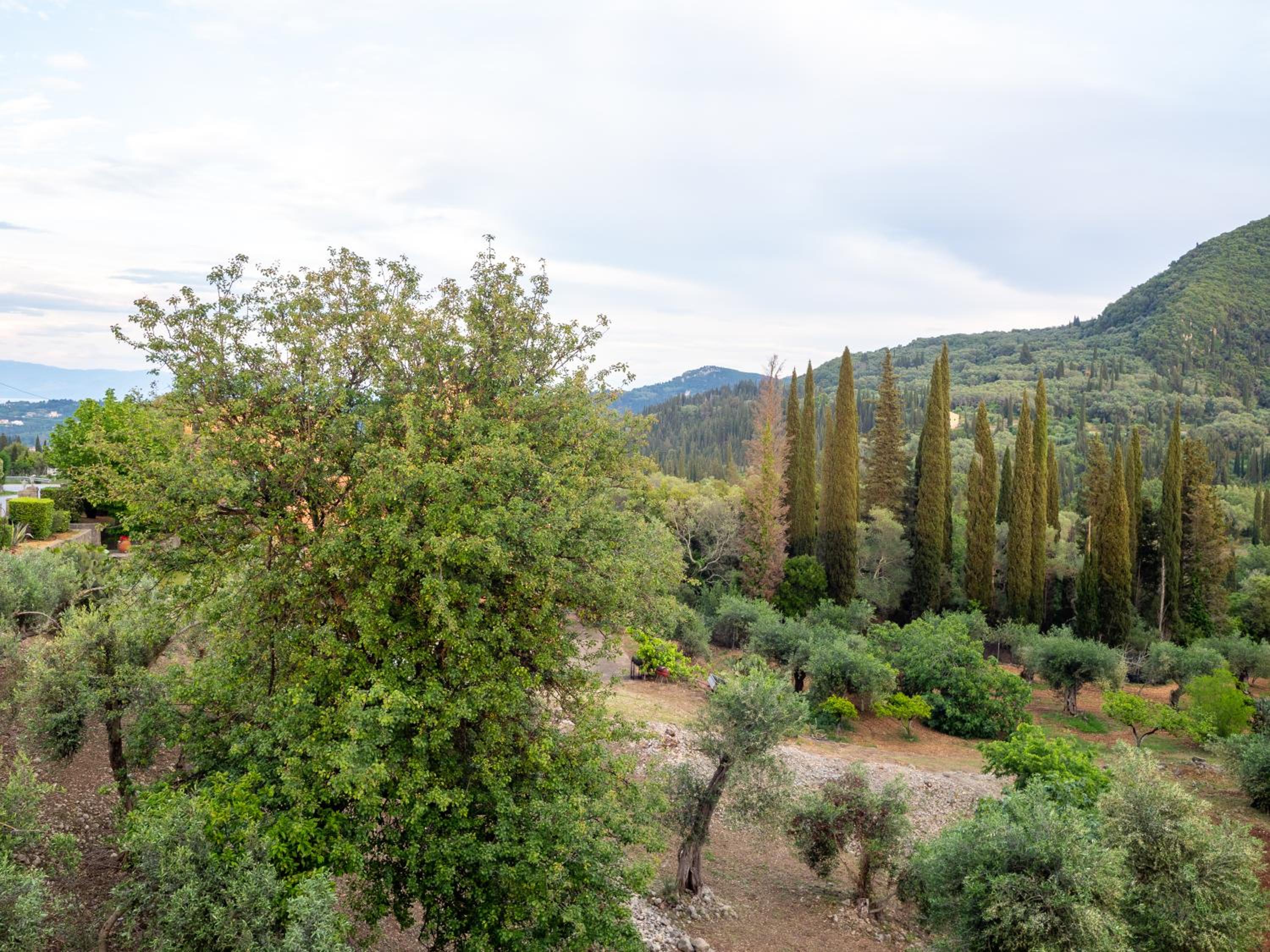 Photo 48