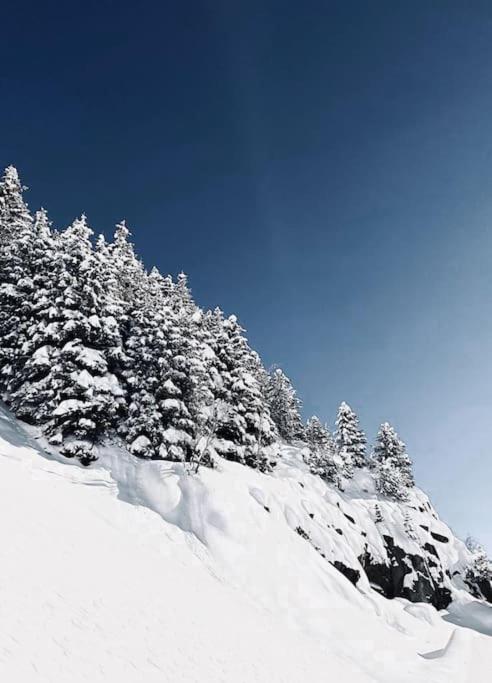 Andermatt Chalet Guetsch
