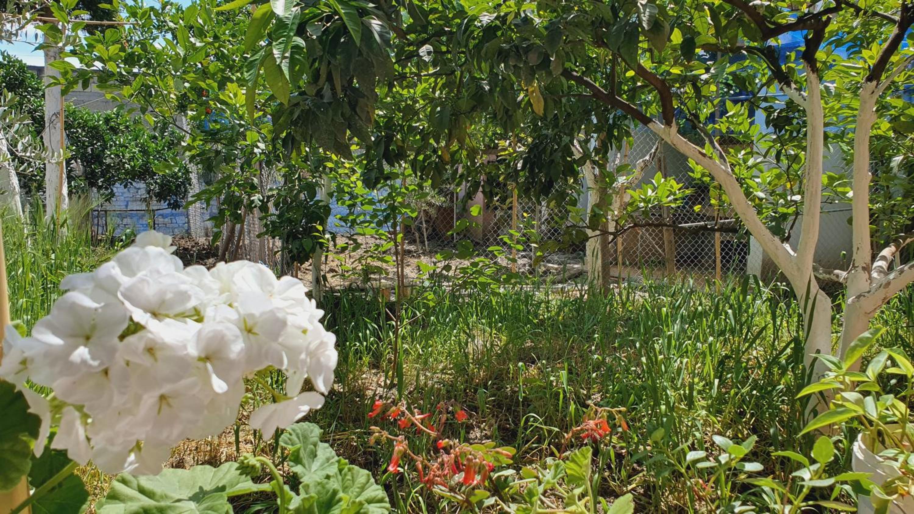 Guest house Sherifi