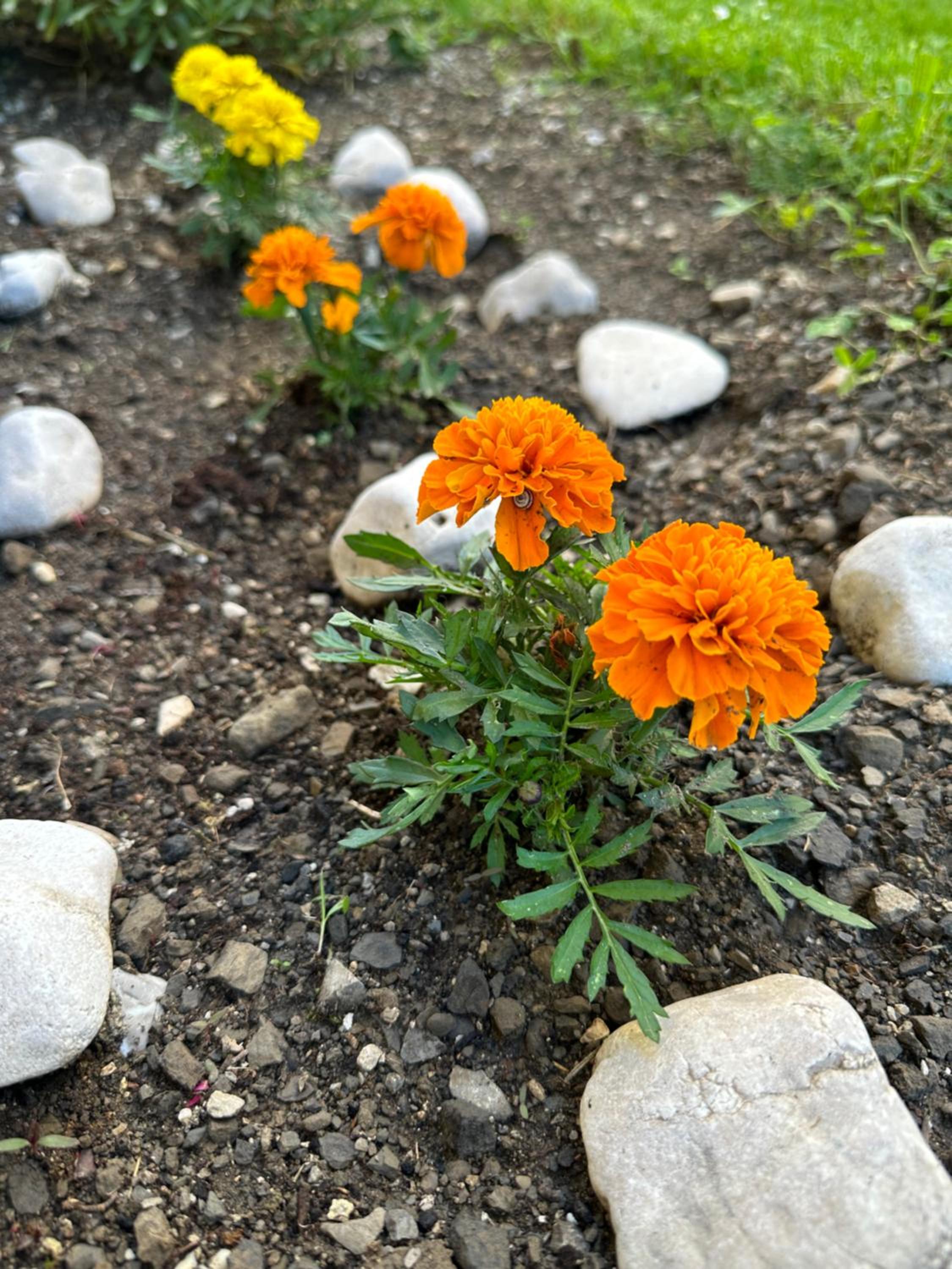 Photo 47